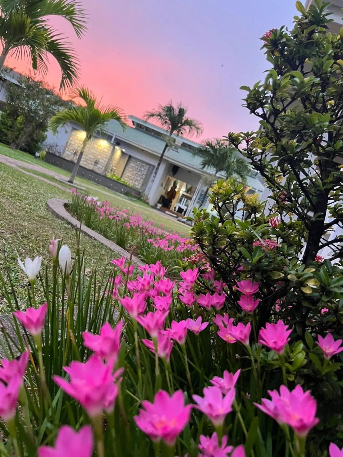 Garden view in Residence Argine