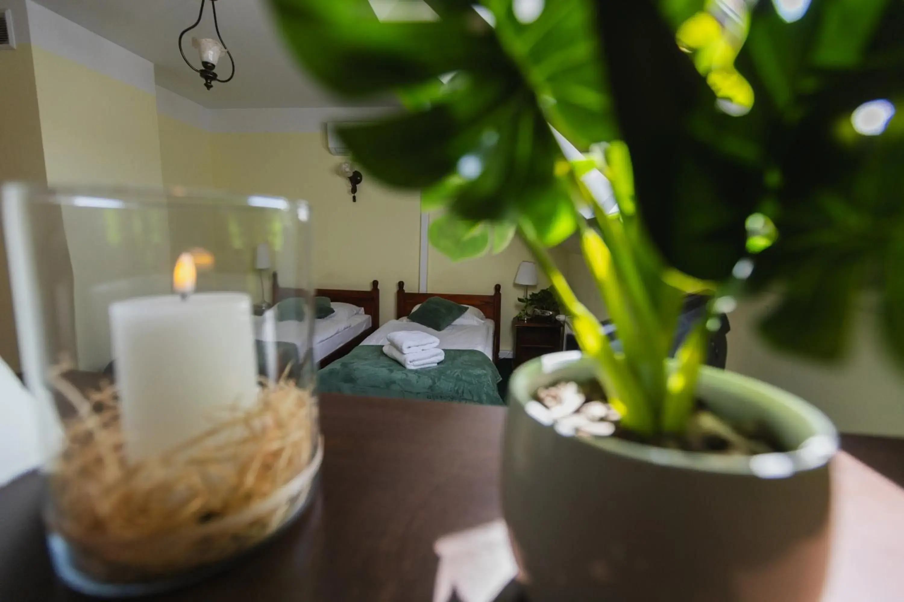 Twin Room in Hotel Aslan Twin Room in Hotel Aslan