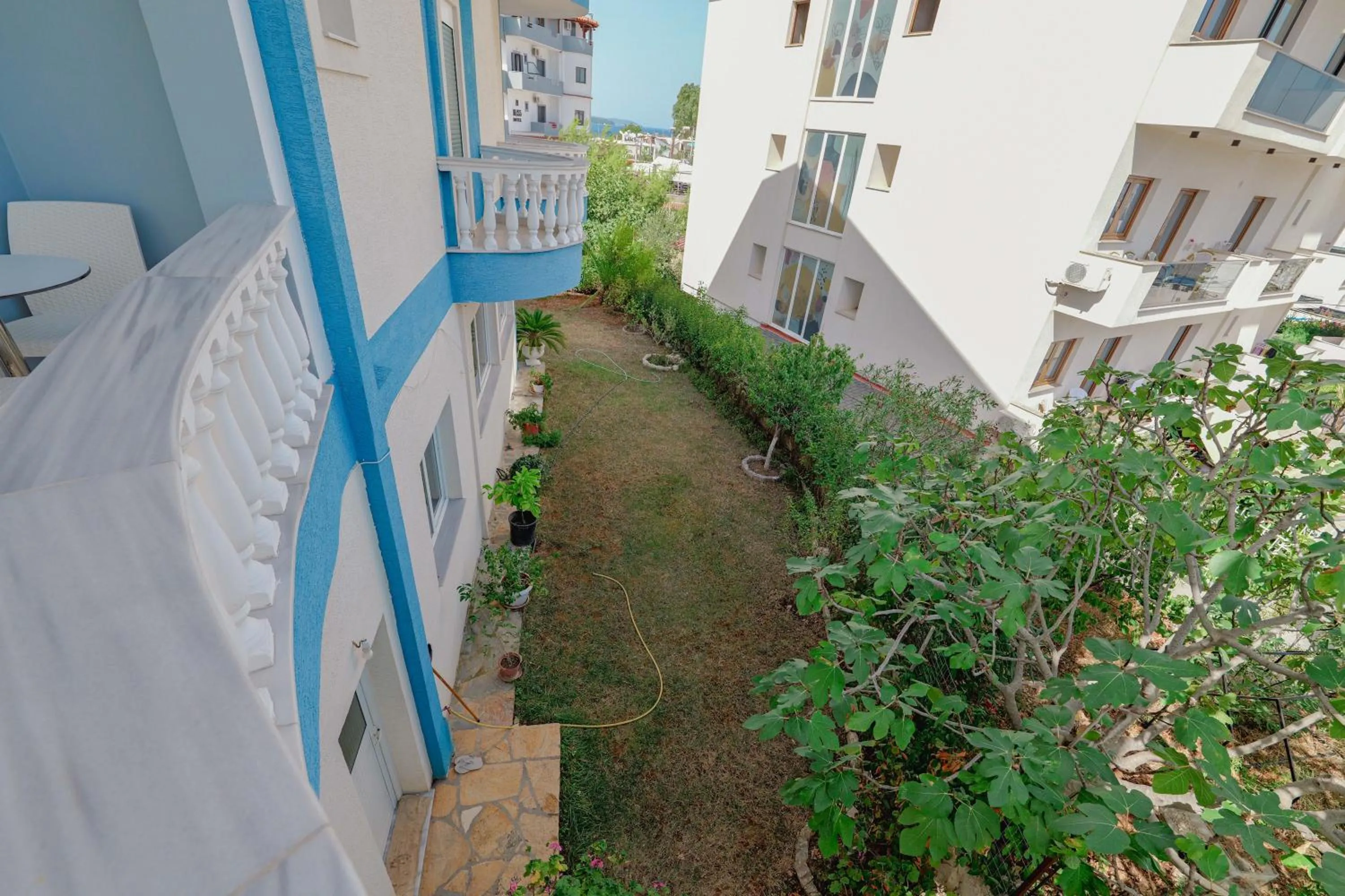 Garden view in Hotel Divo Palace