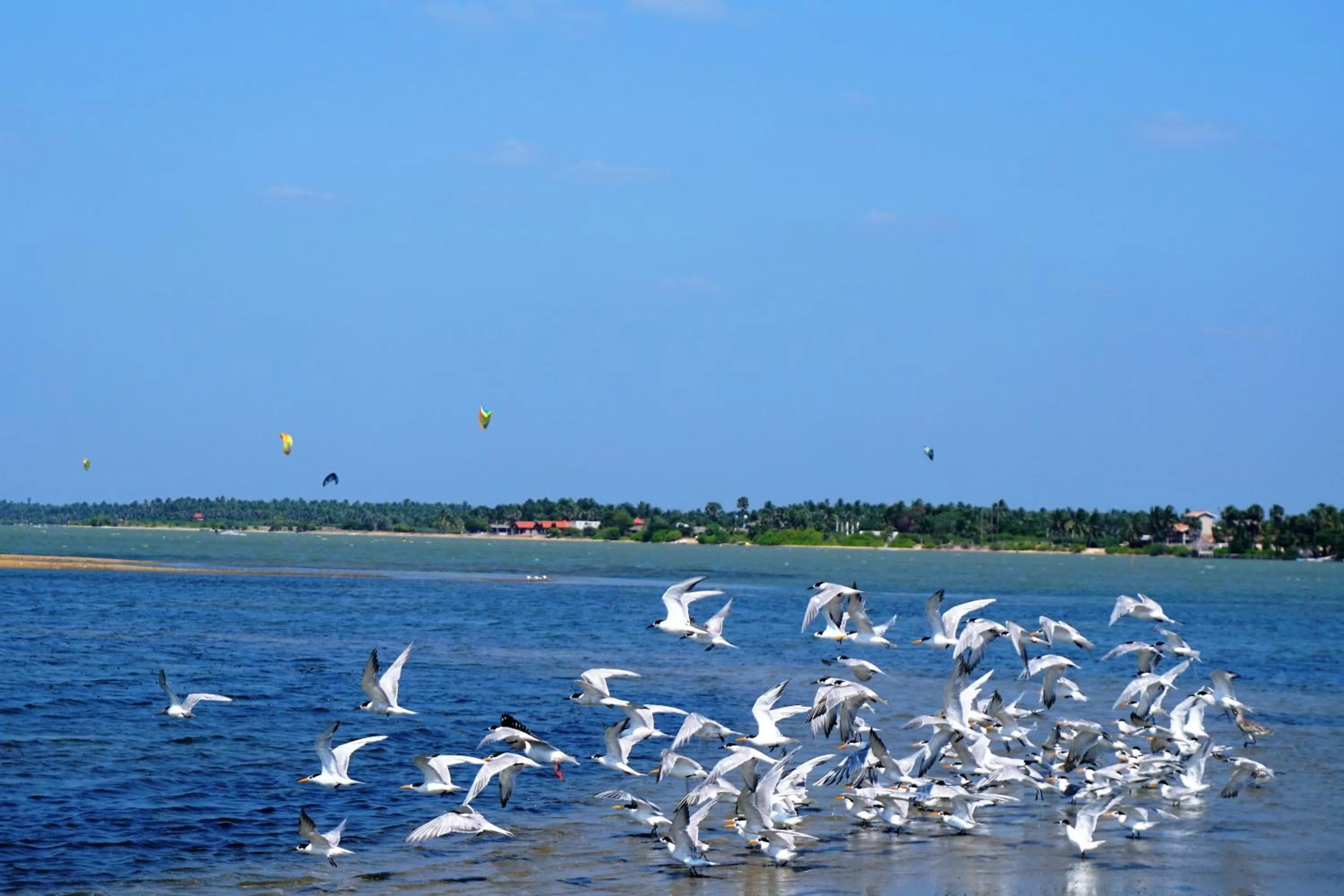 Kitelantis Hotel and Resort