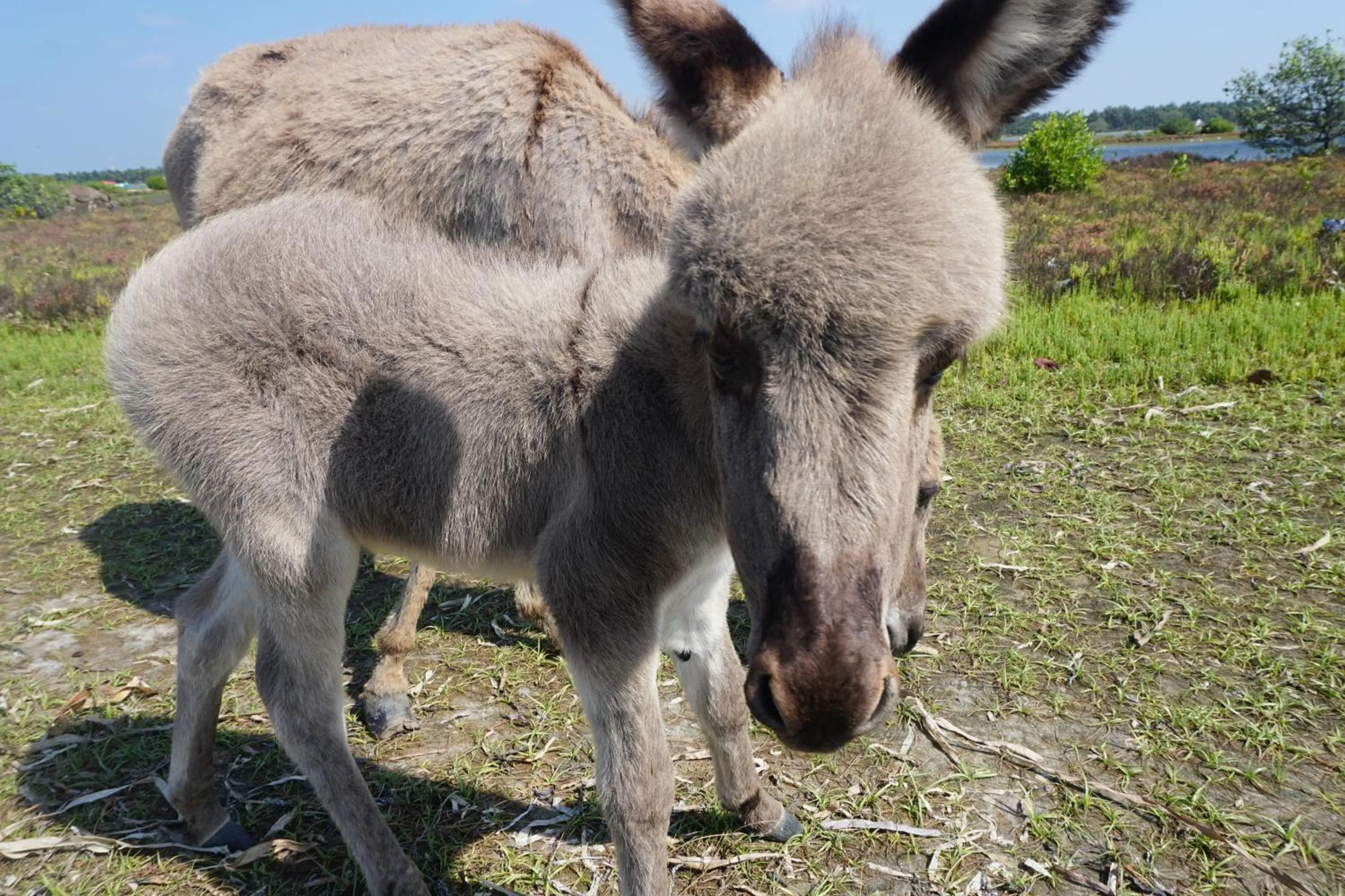 Kitelantis Hotel and Resort