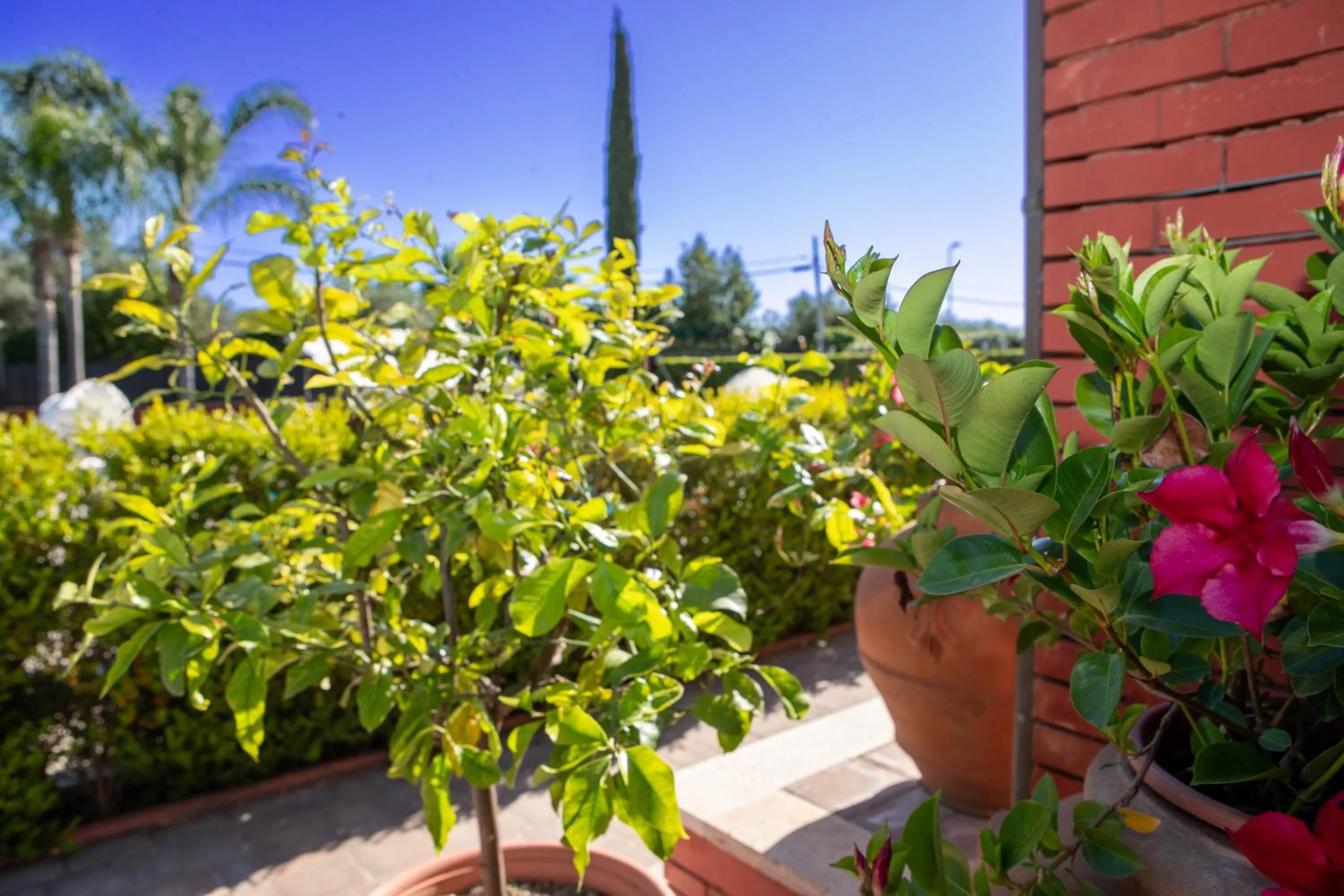 Garden in Relais Villa Italia