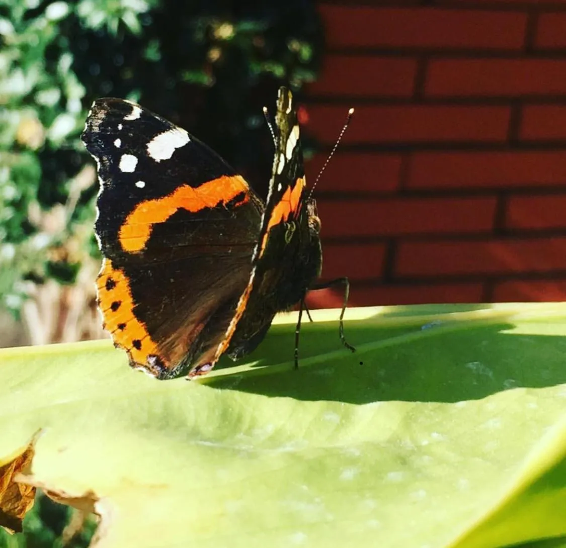 Property building in Relais Villa Italia