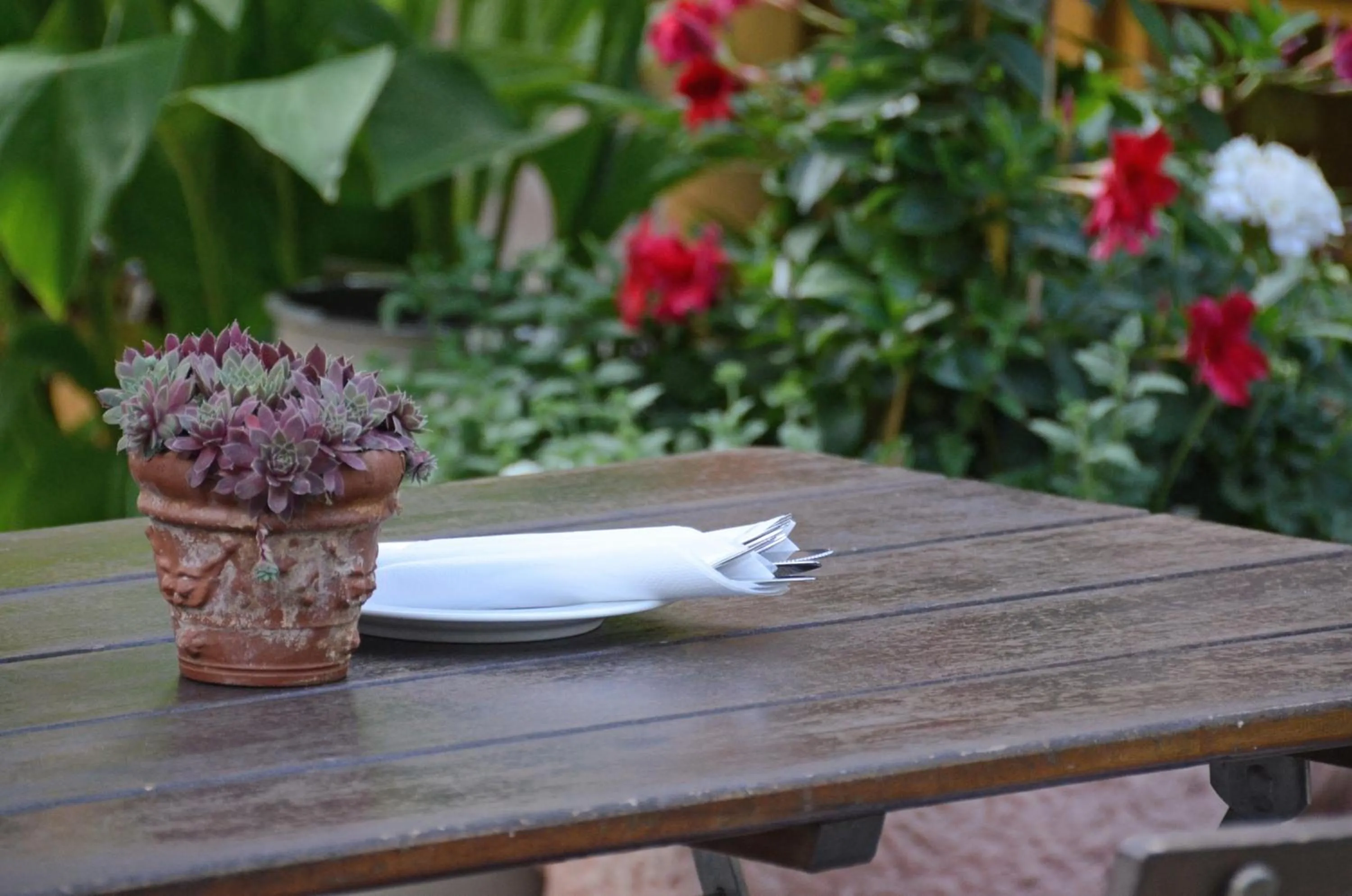 Restaurant/places to eat in Gasthof Zur Krone