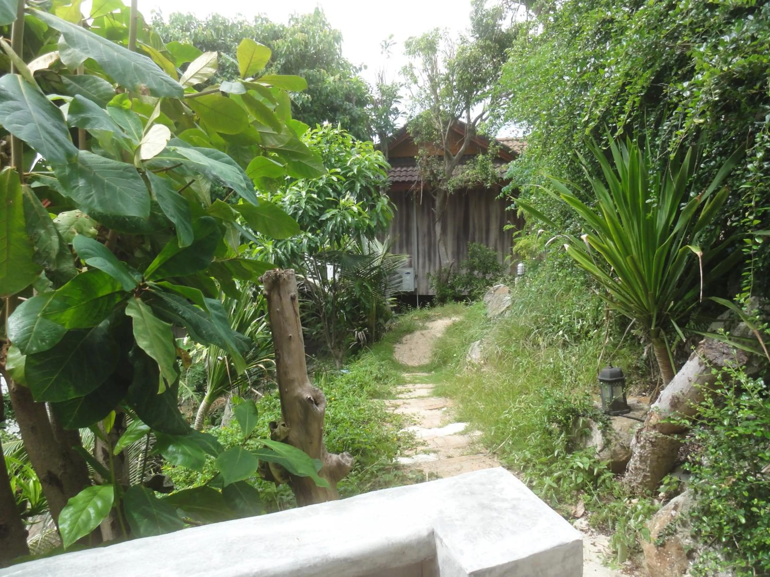 Natural landscape in High Life Bungalow