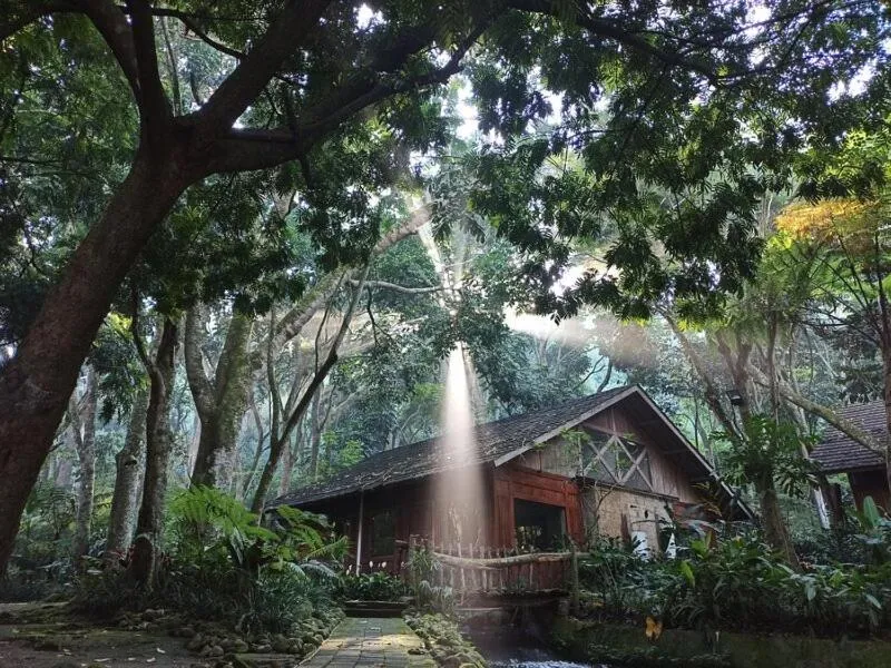 Property building in Imah Seniman