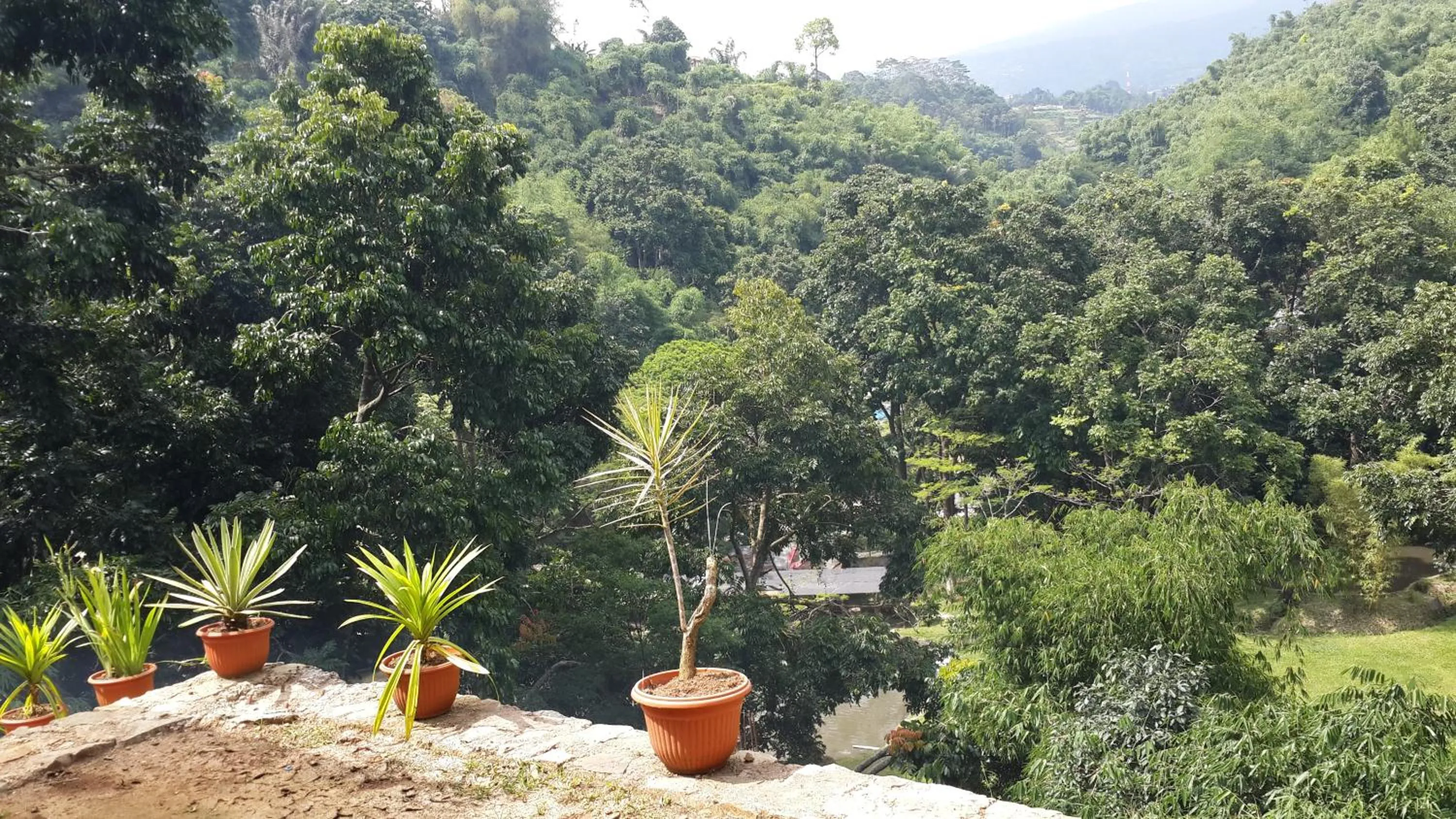 Bird's eye view in Bantal Guling Villa