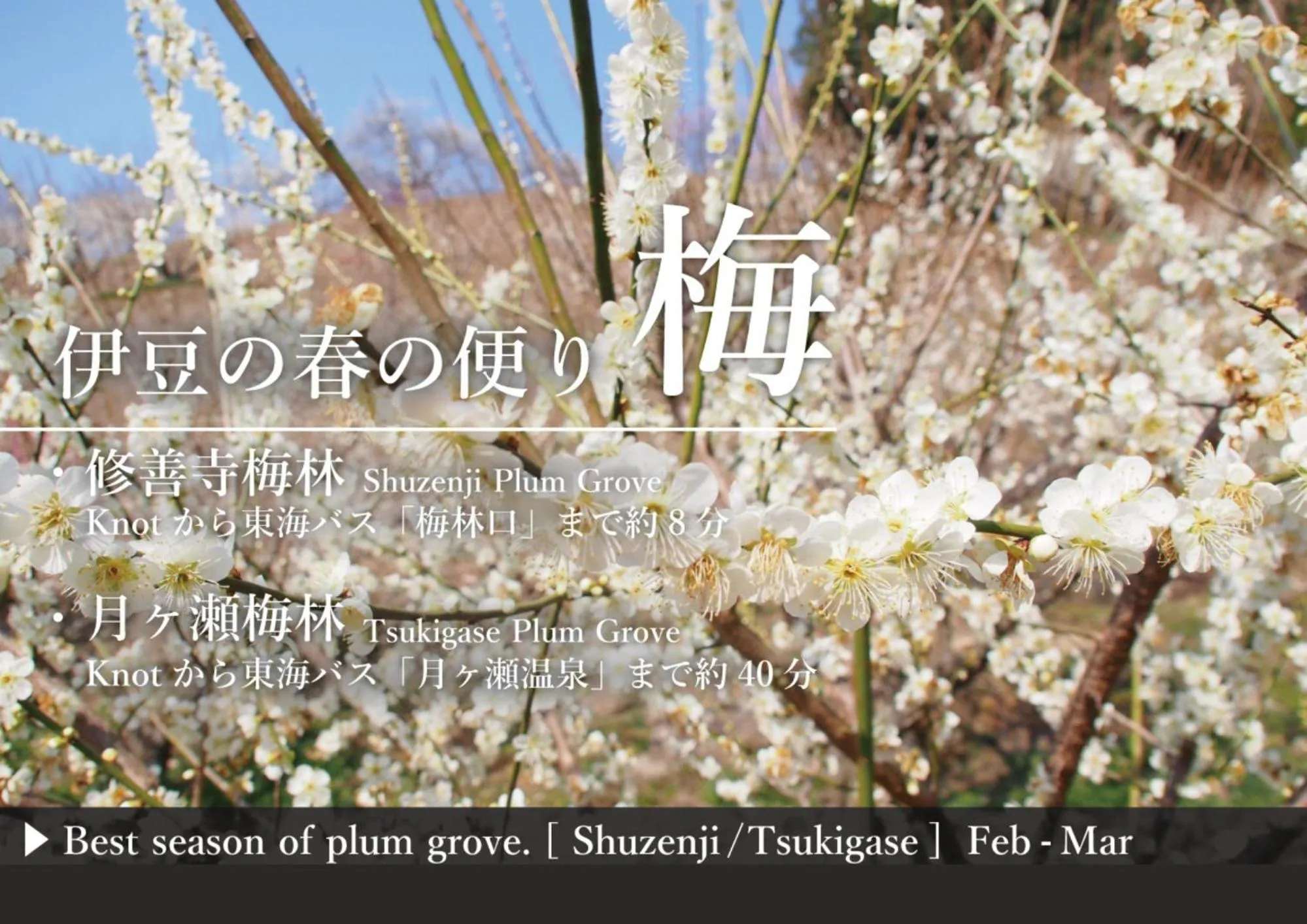 Nearby landmark in Hostel Knot