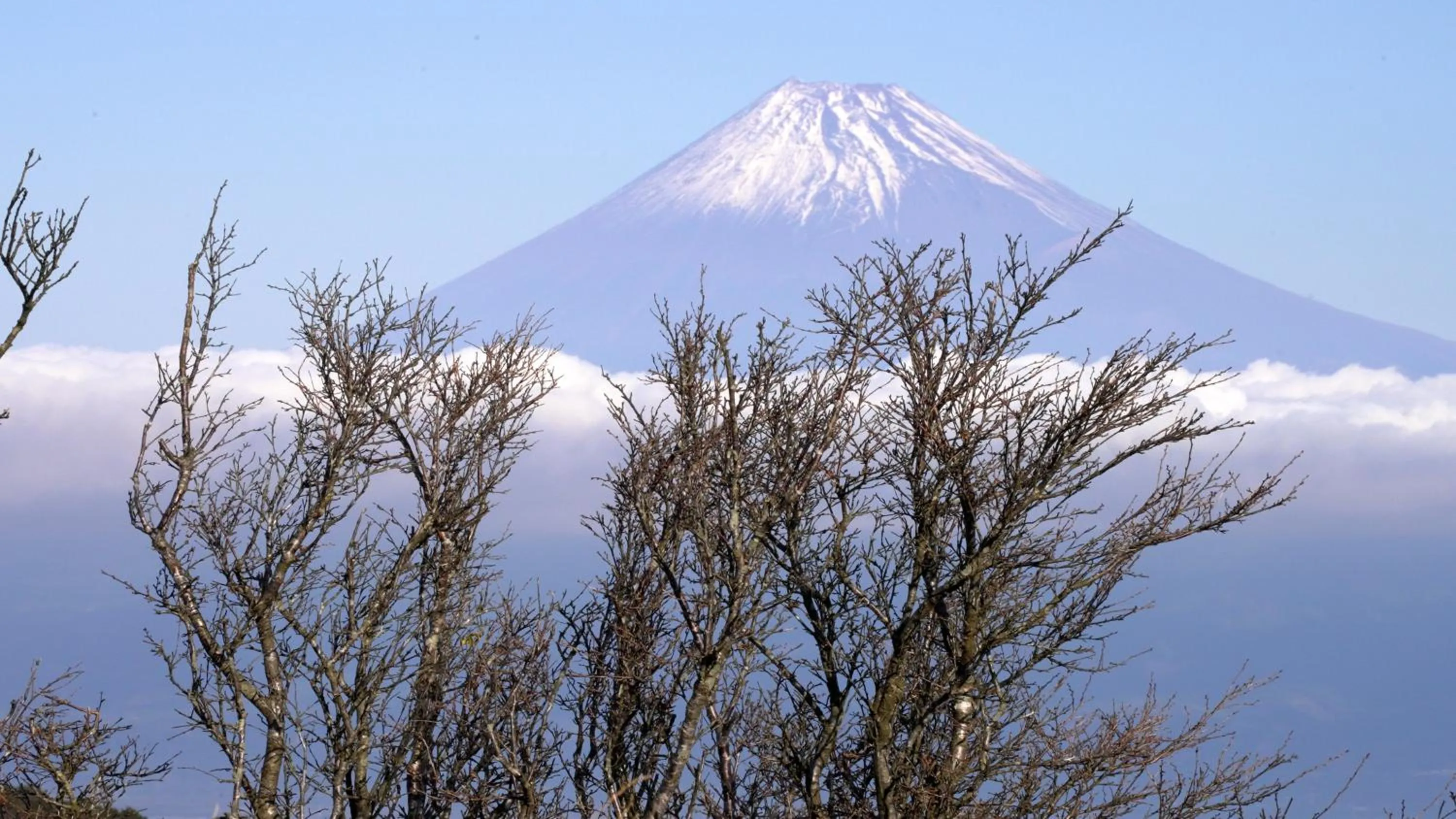 Nearby landmark in Hostel Knot