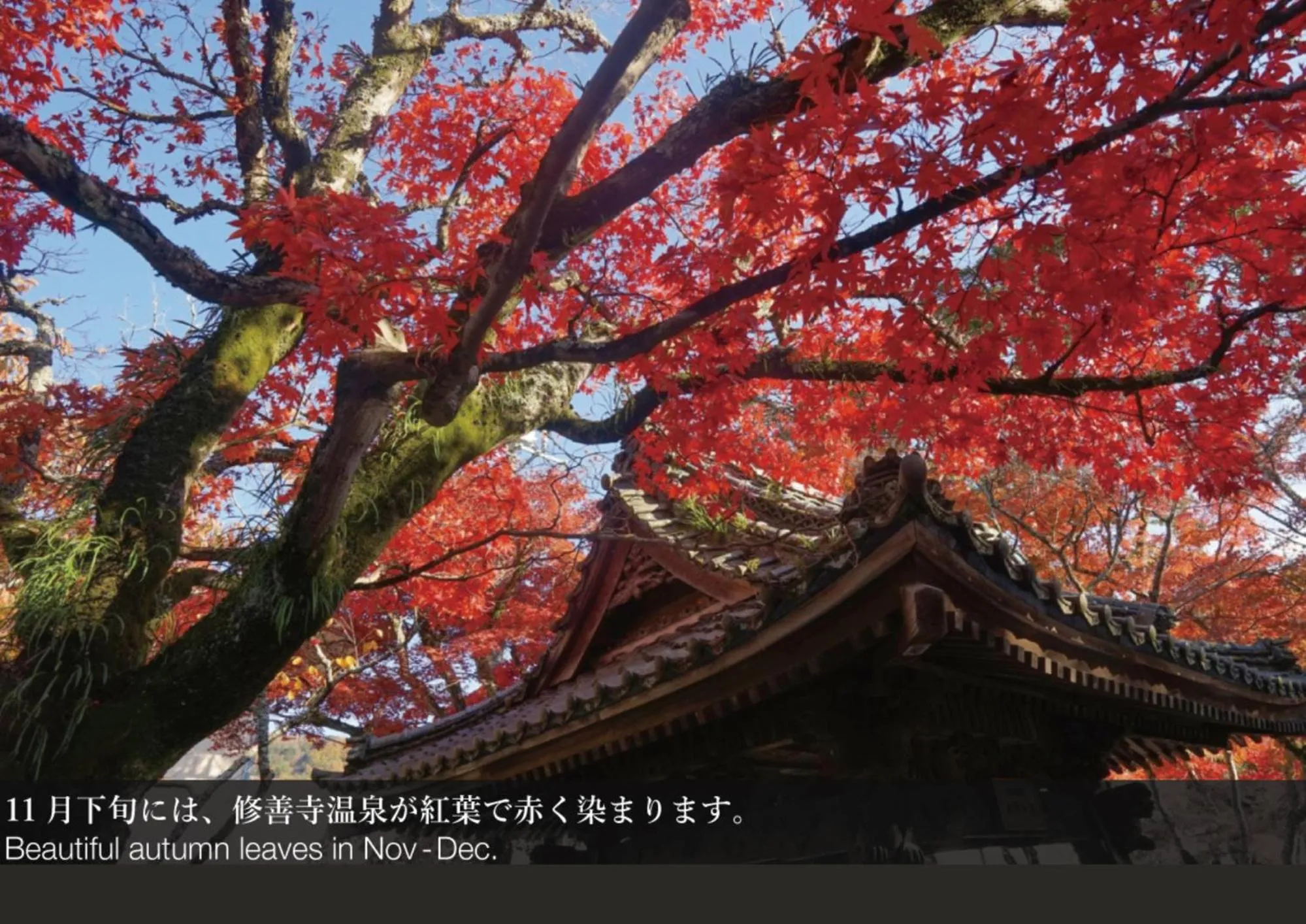 Nearby landmark in Hostel Knot