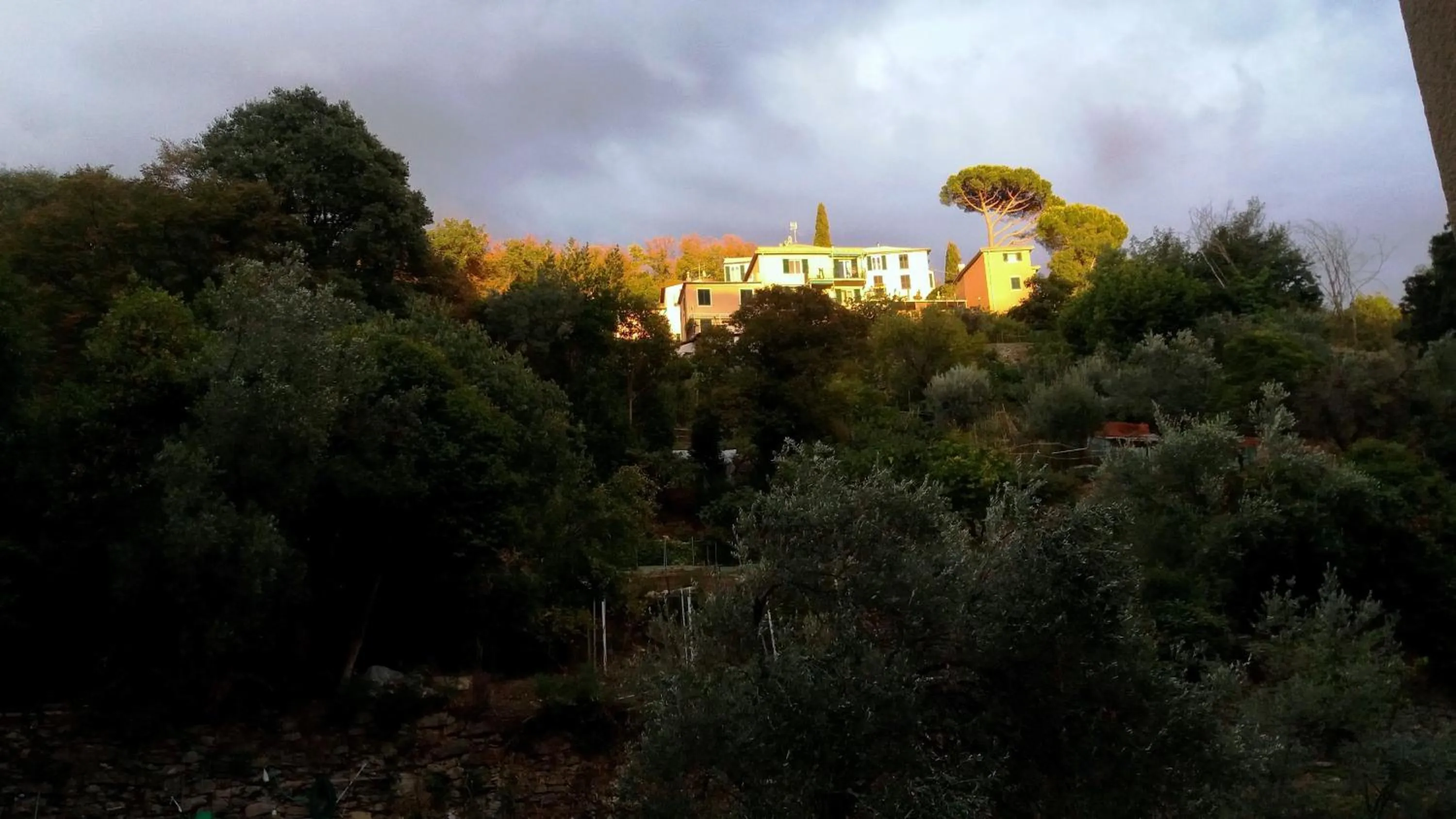 Neighbourhood in b&bEuropa