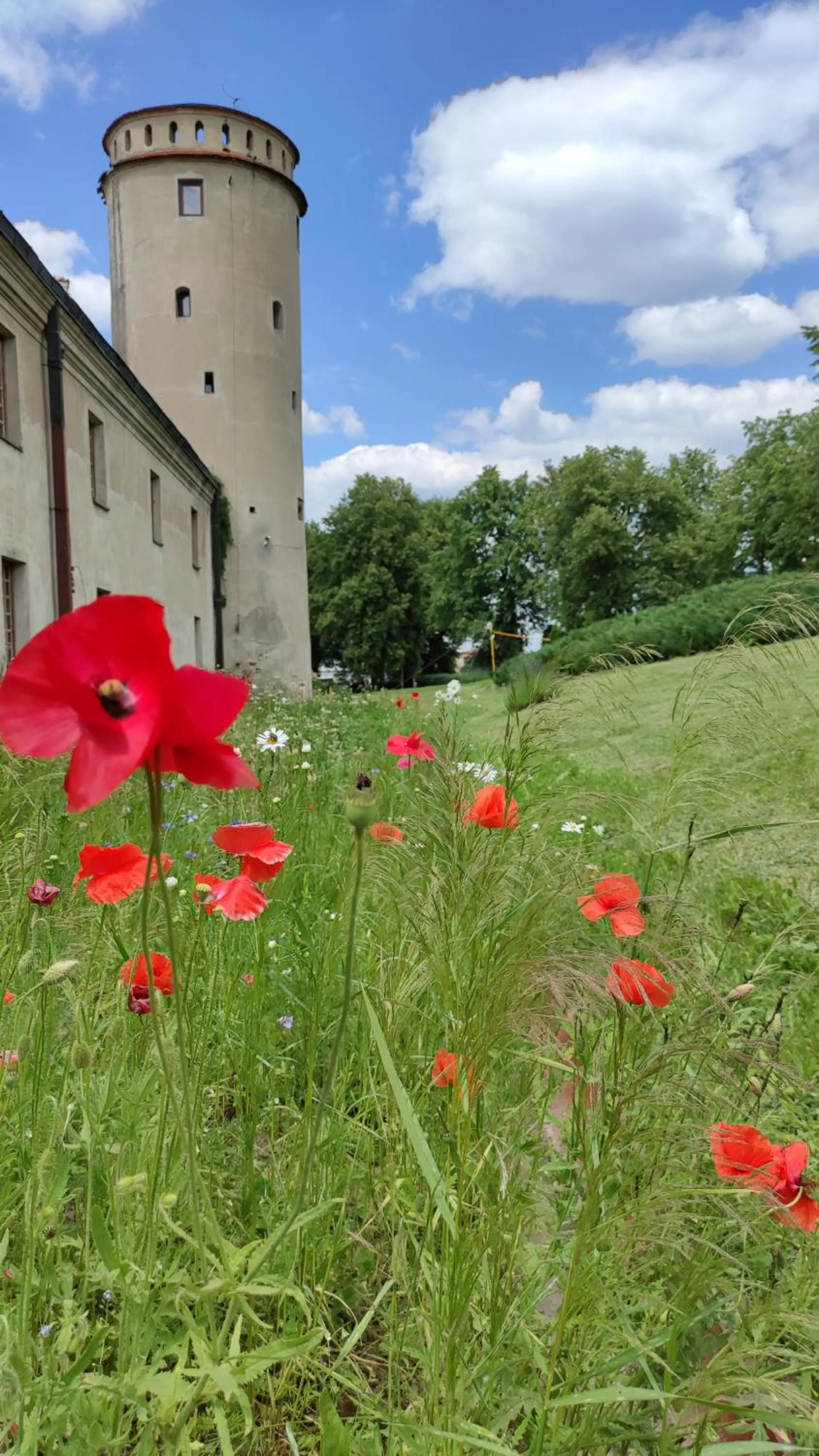 Garden in Hotel Podklasztorze