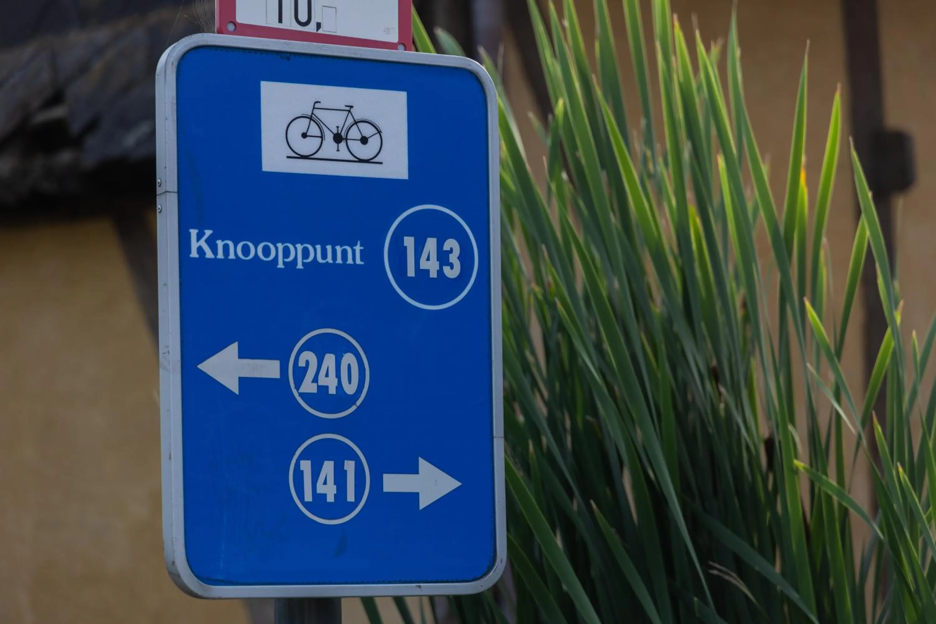 Neighbourhood in B&B Sasput