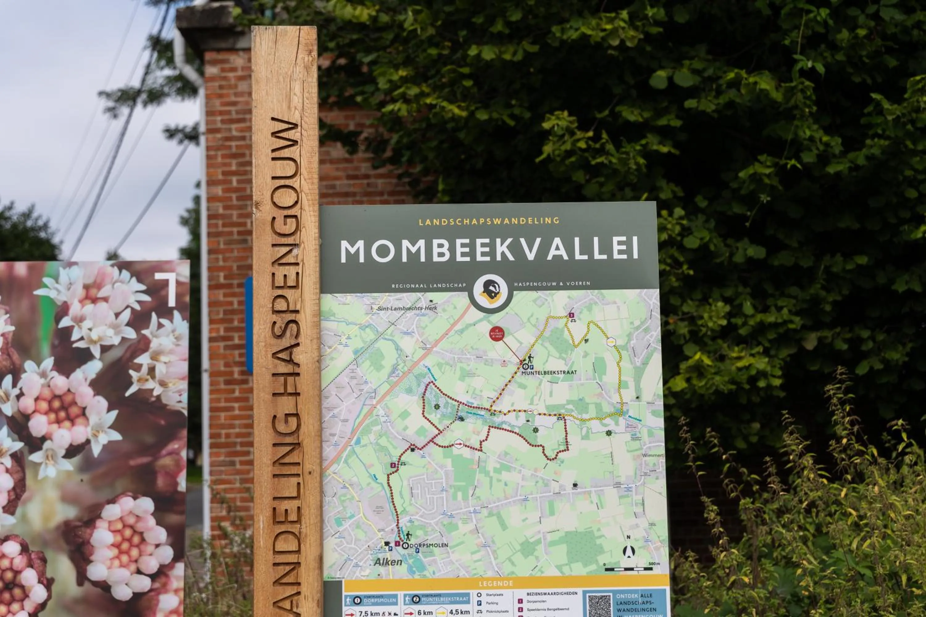 Neighbourhood in B&B Sasput