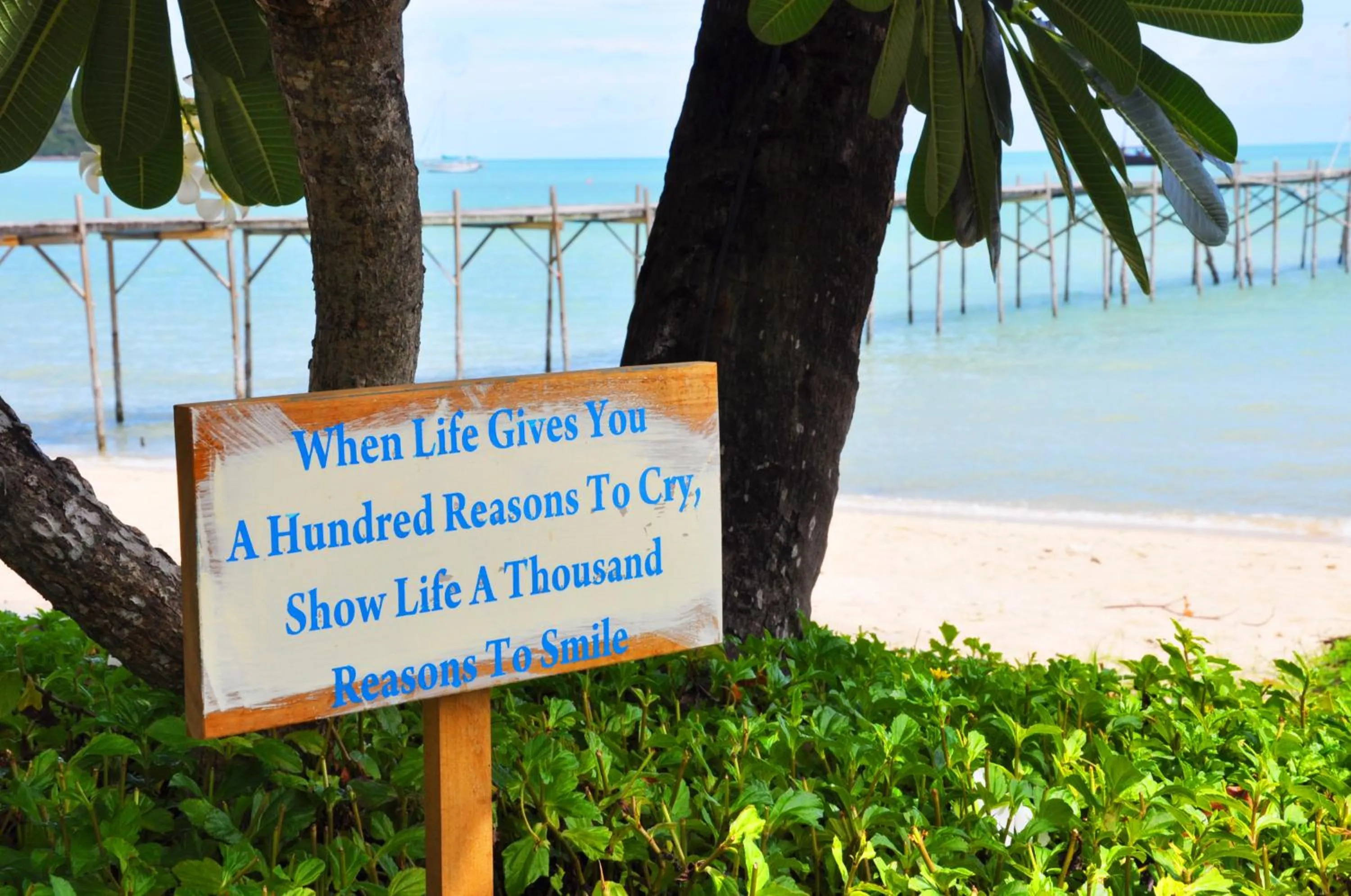 Day in Samui Pier Beach Front & Resort