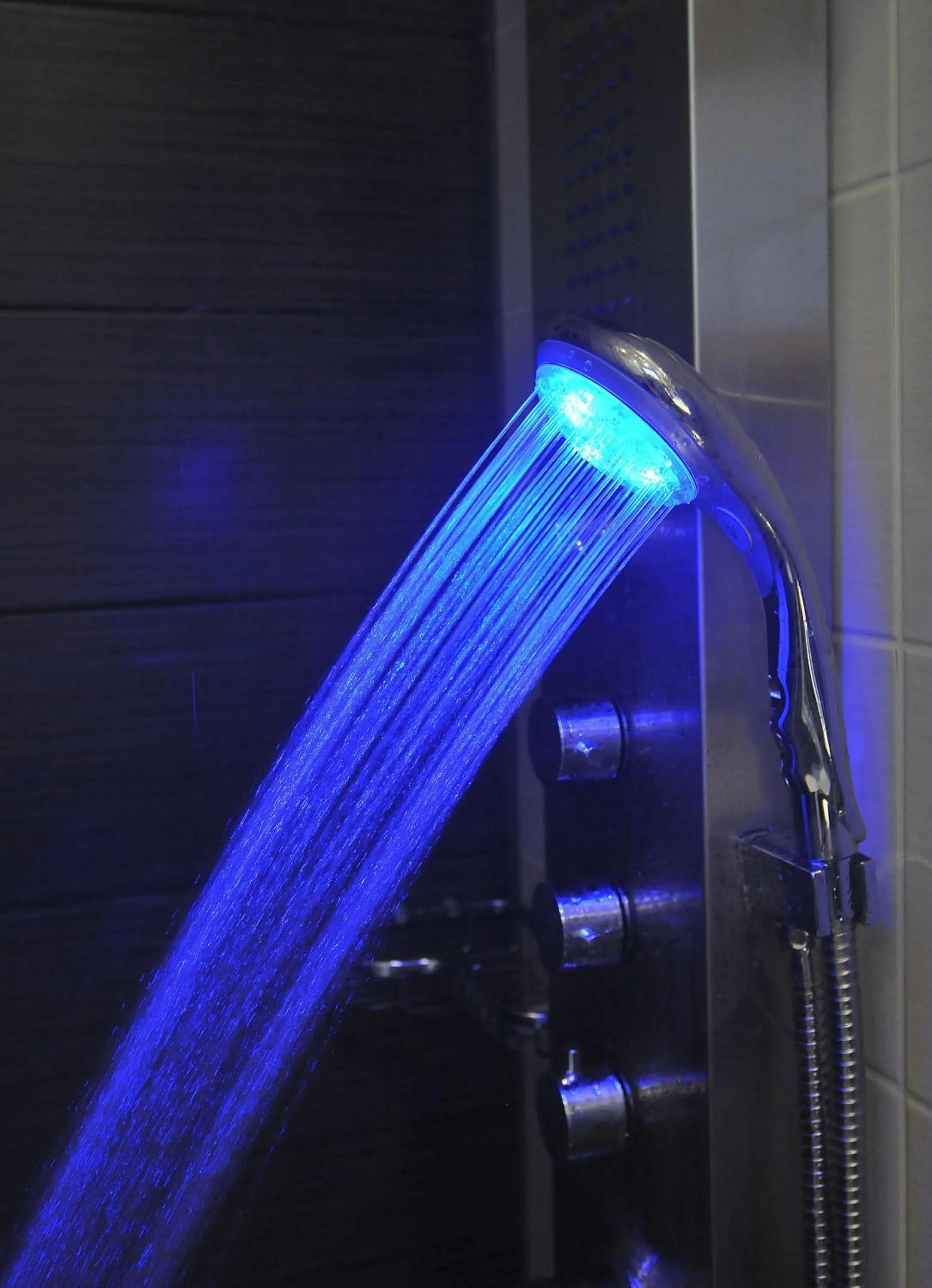 Bathroom in Panorama Inn Hotel