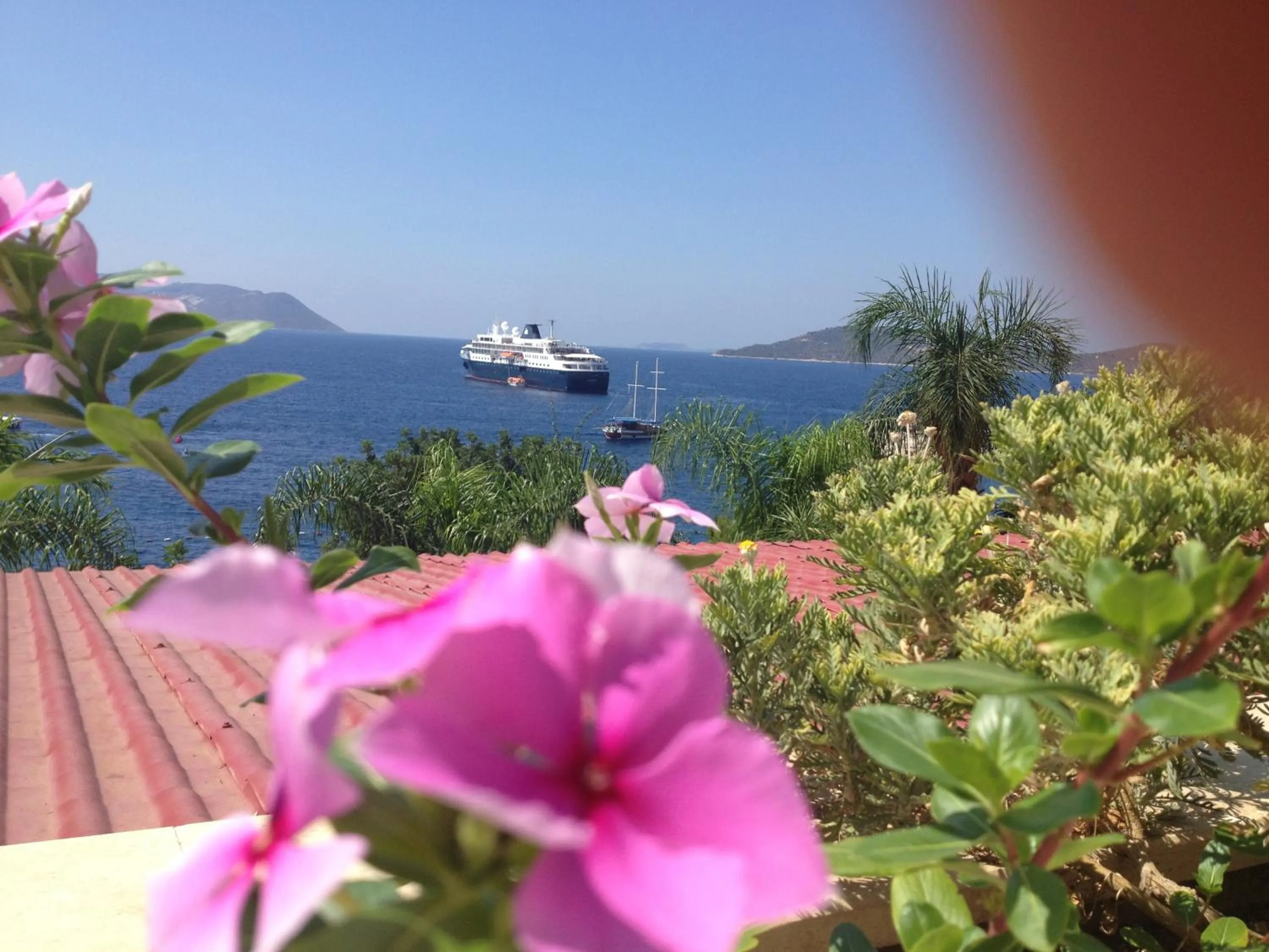 Sea view in Narr Hotel