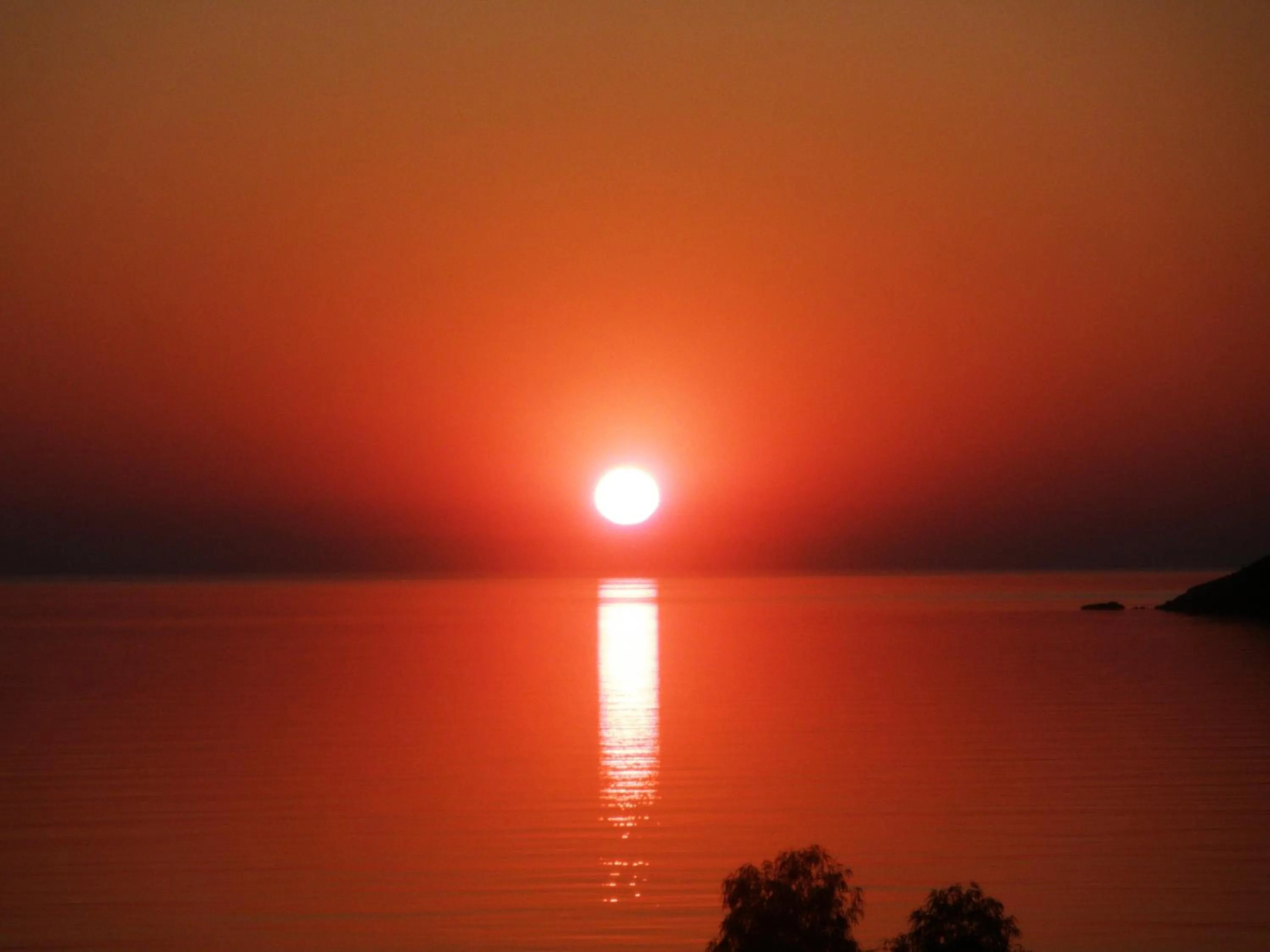 Natural landscape in Apollo Studios