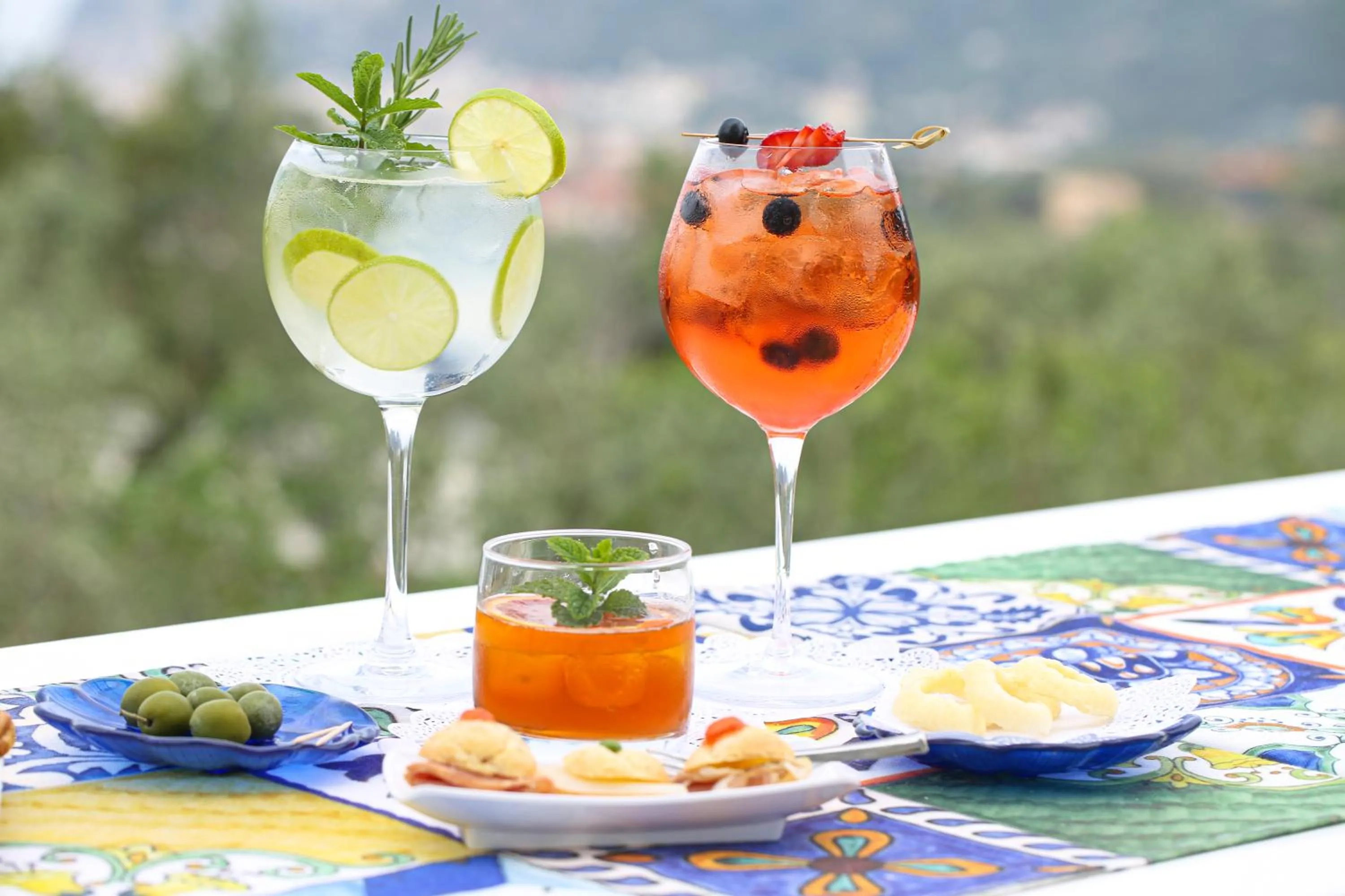 Lounge or bar in Hotel Royal Hills