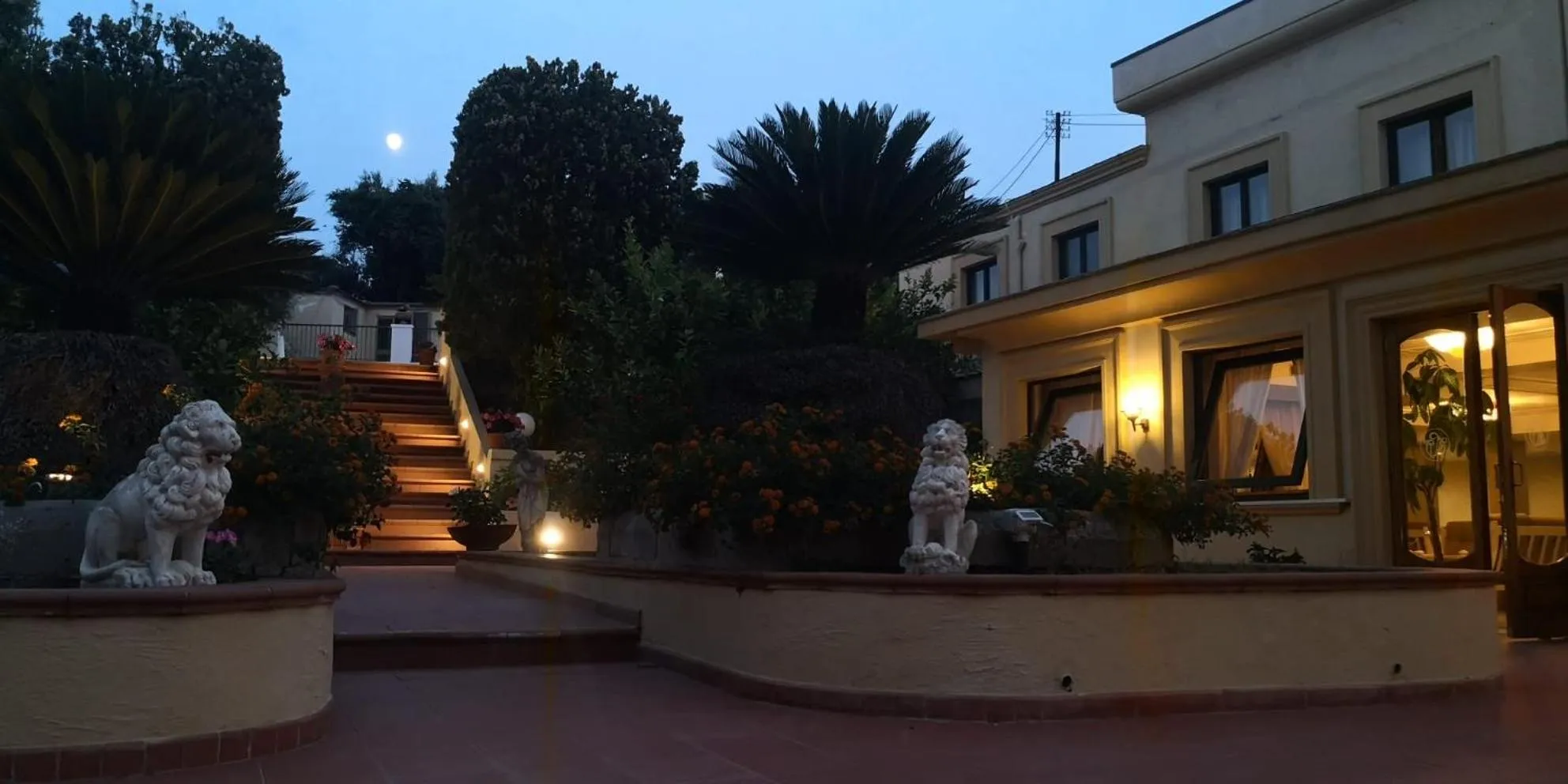Garden in Hotel Villa Igea