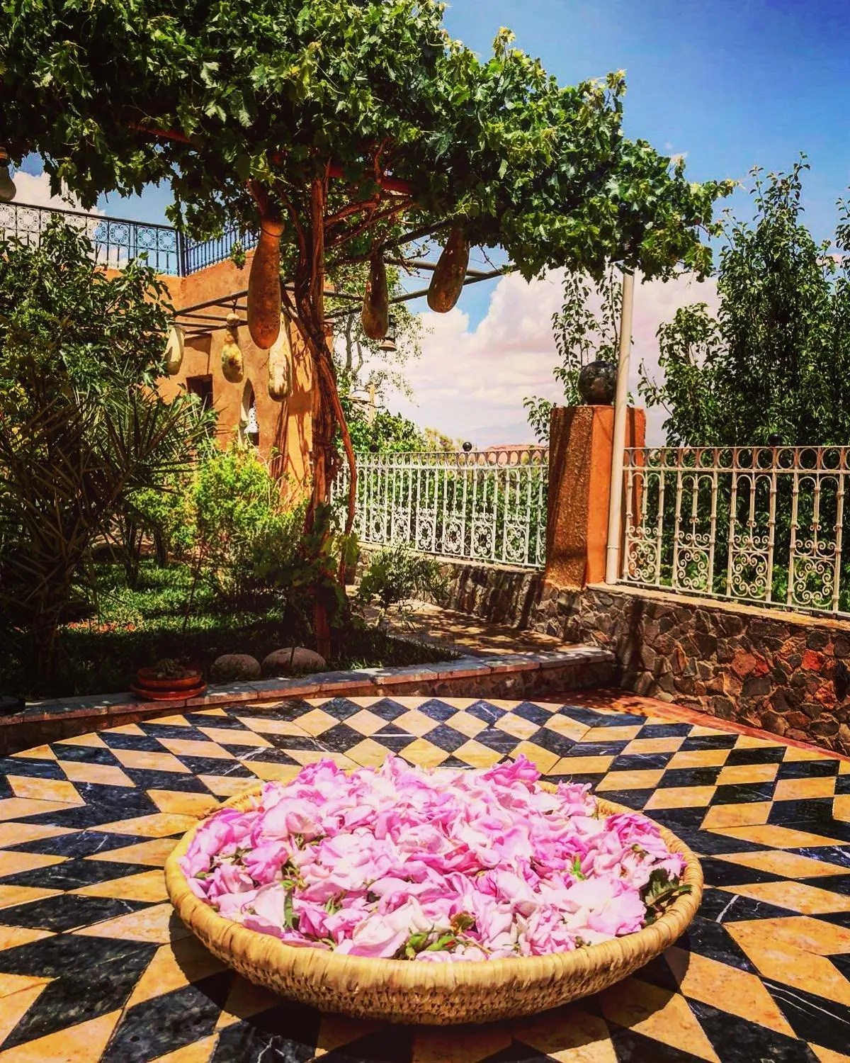 Garden in Riad Chay & Boutique