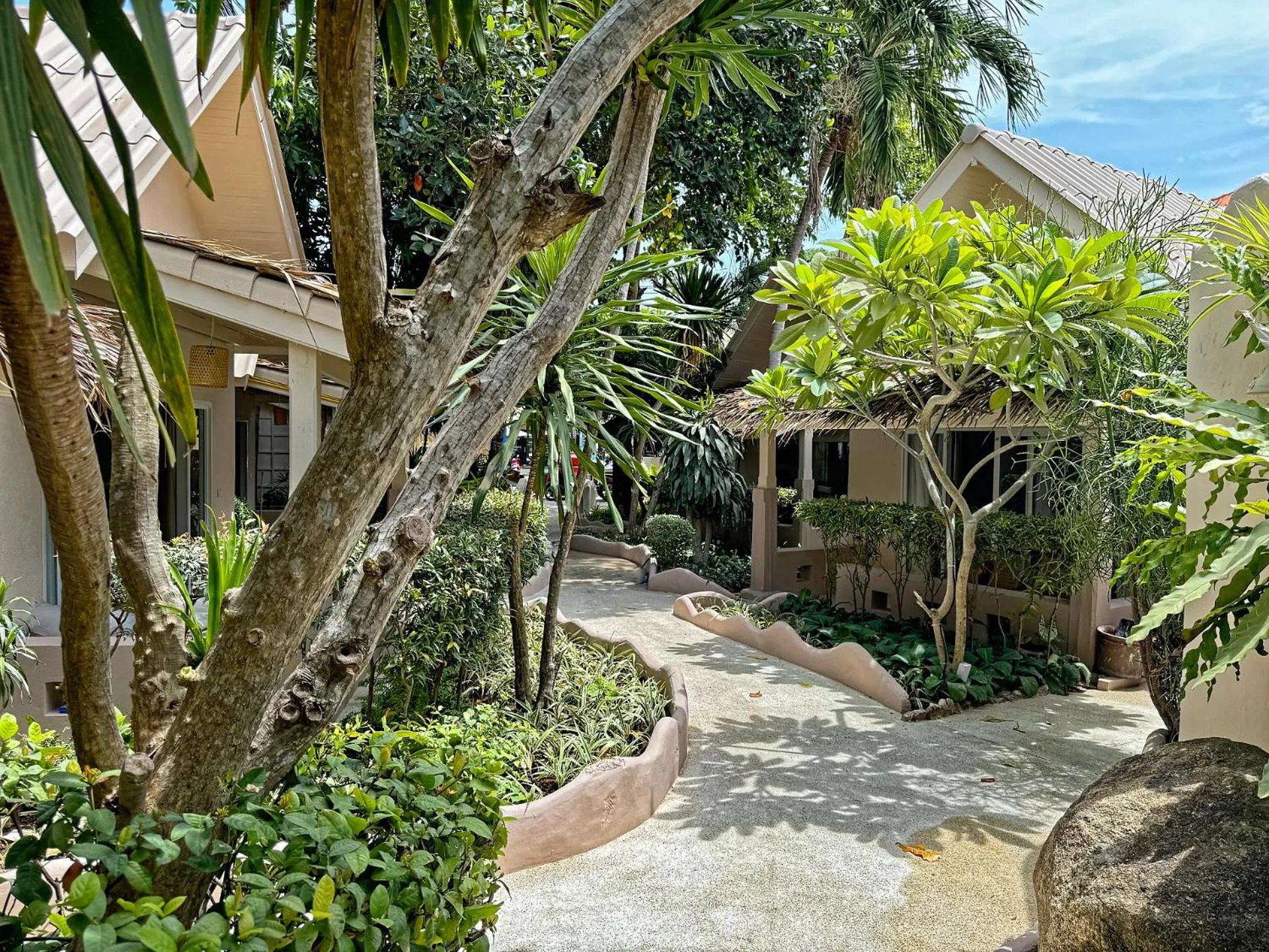 Garden in Blue Turtle Hotel Samui