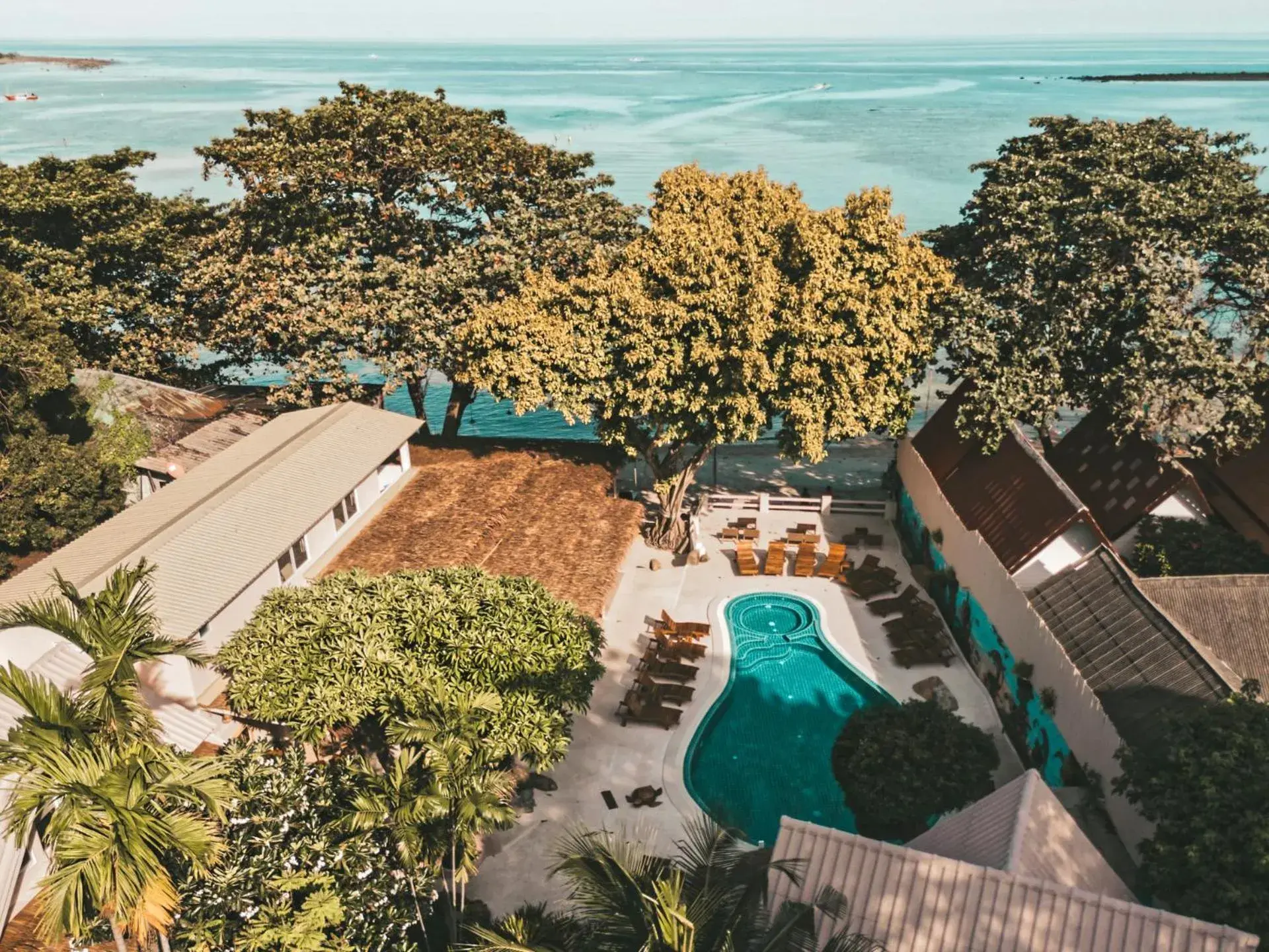 Blue Turtle Hotel Samui Blue Turtle Hotel Samui