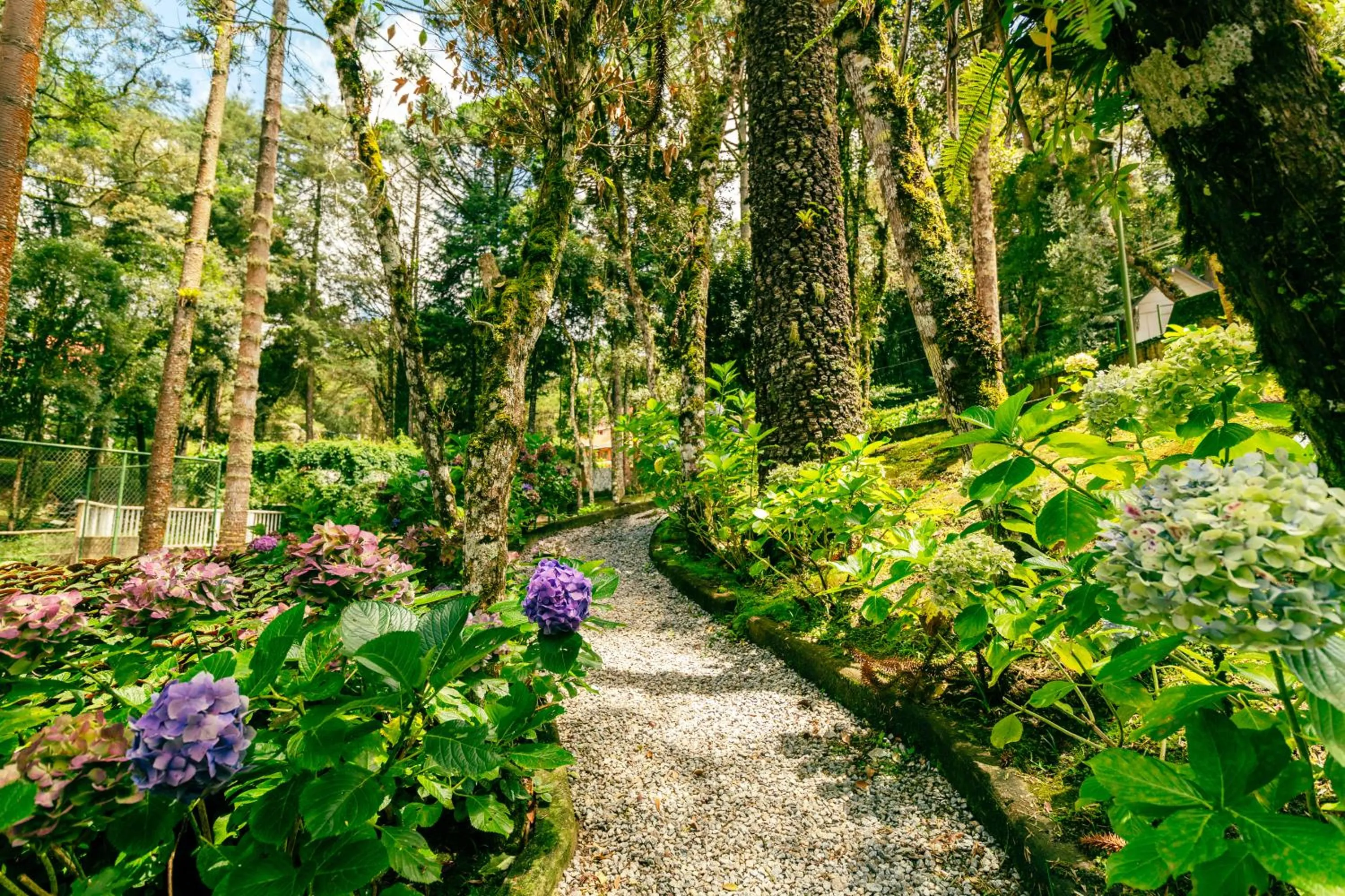 Natural landscape in Pousada Campos dos Holandeses - Campos do Jordao