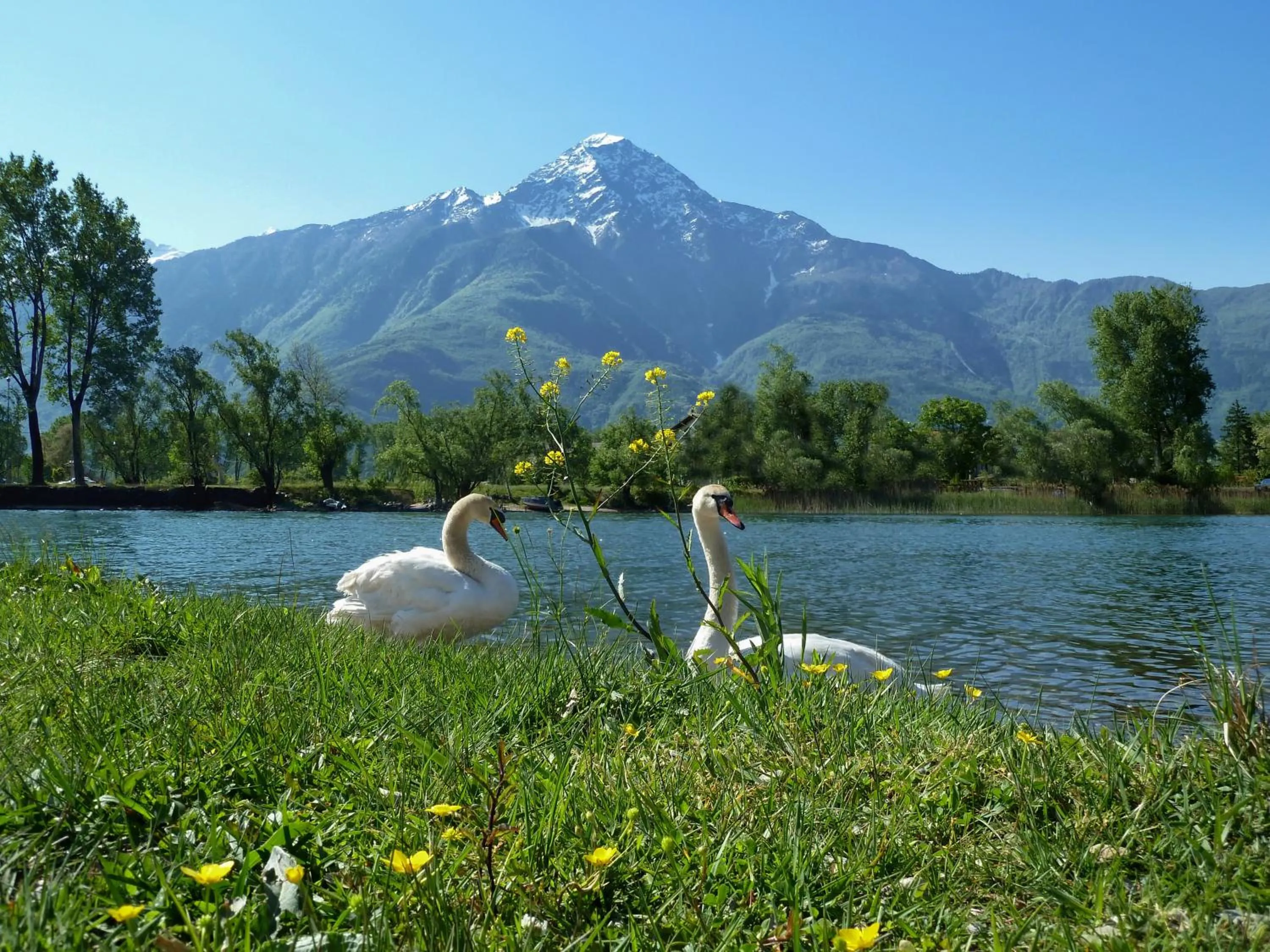 Area and facilities in Hotel Europa - Sorico