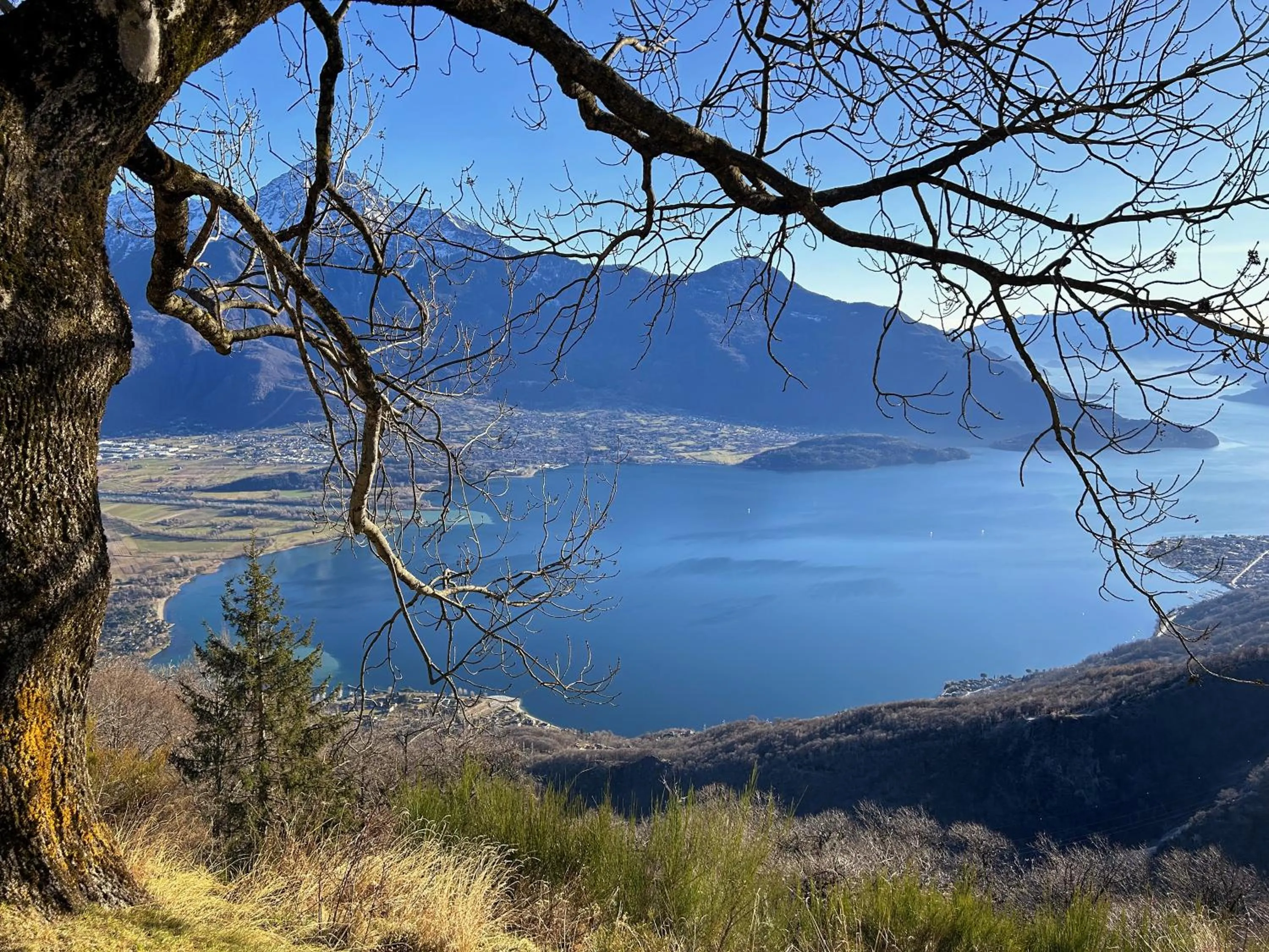 Natural landscape in Hotel Europa - Sorico