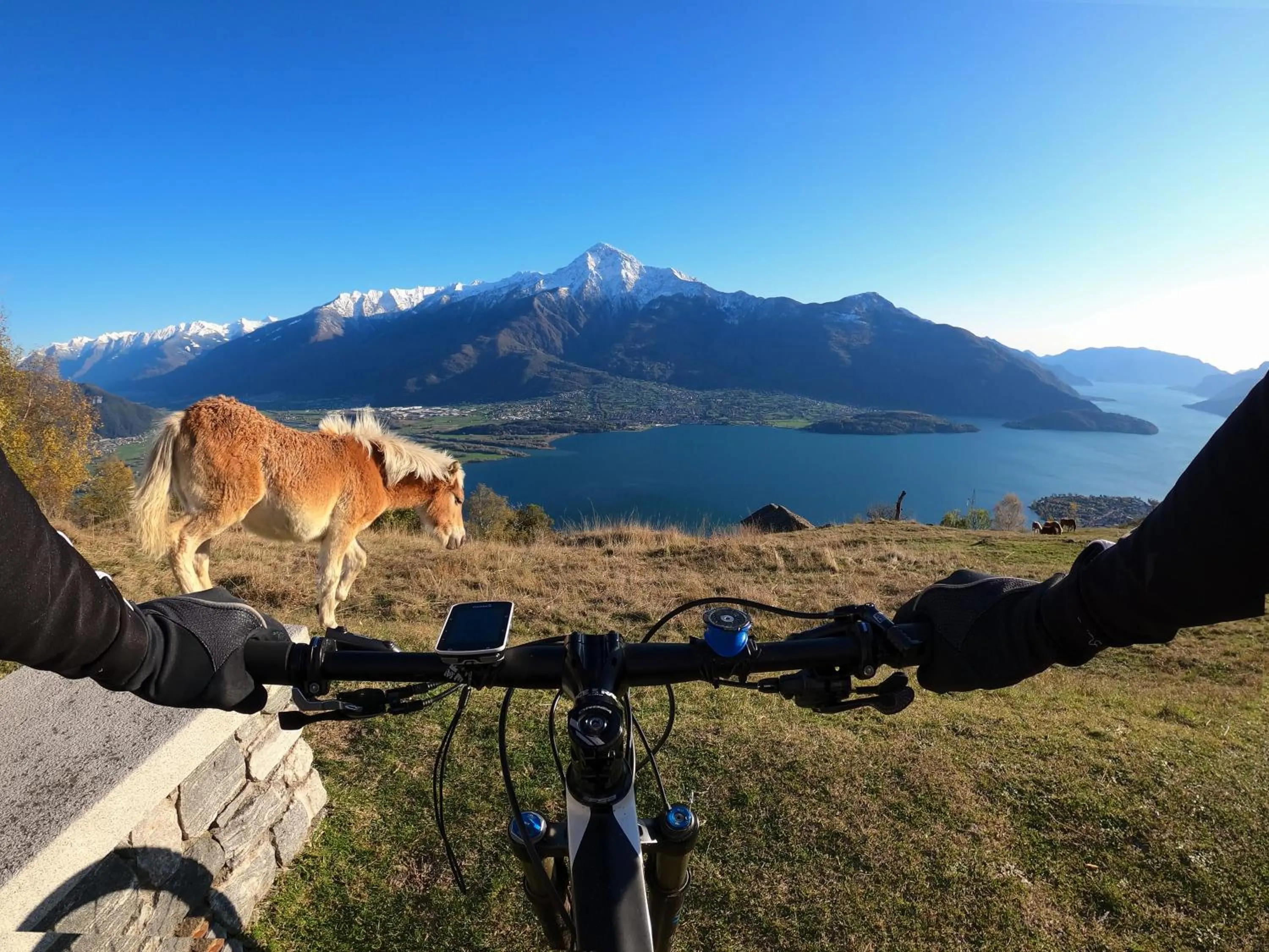 Natural landscape in Hotel Europa - Sorico