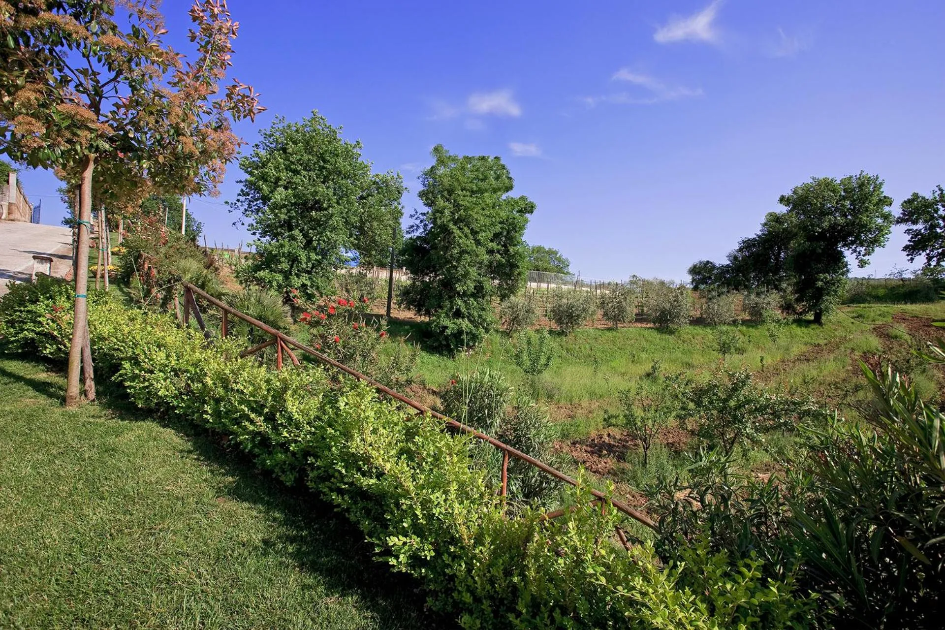 Garden in Tenuta D'Amore