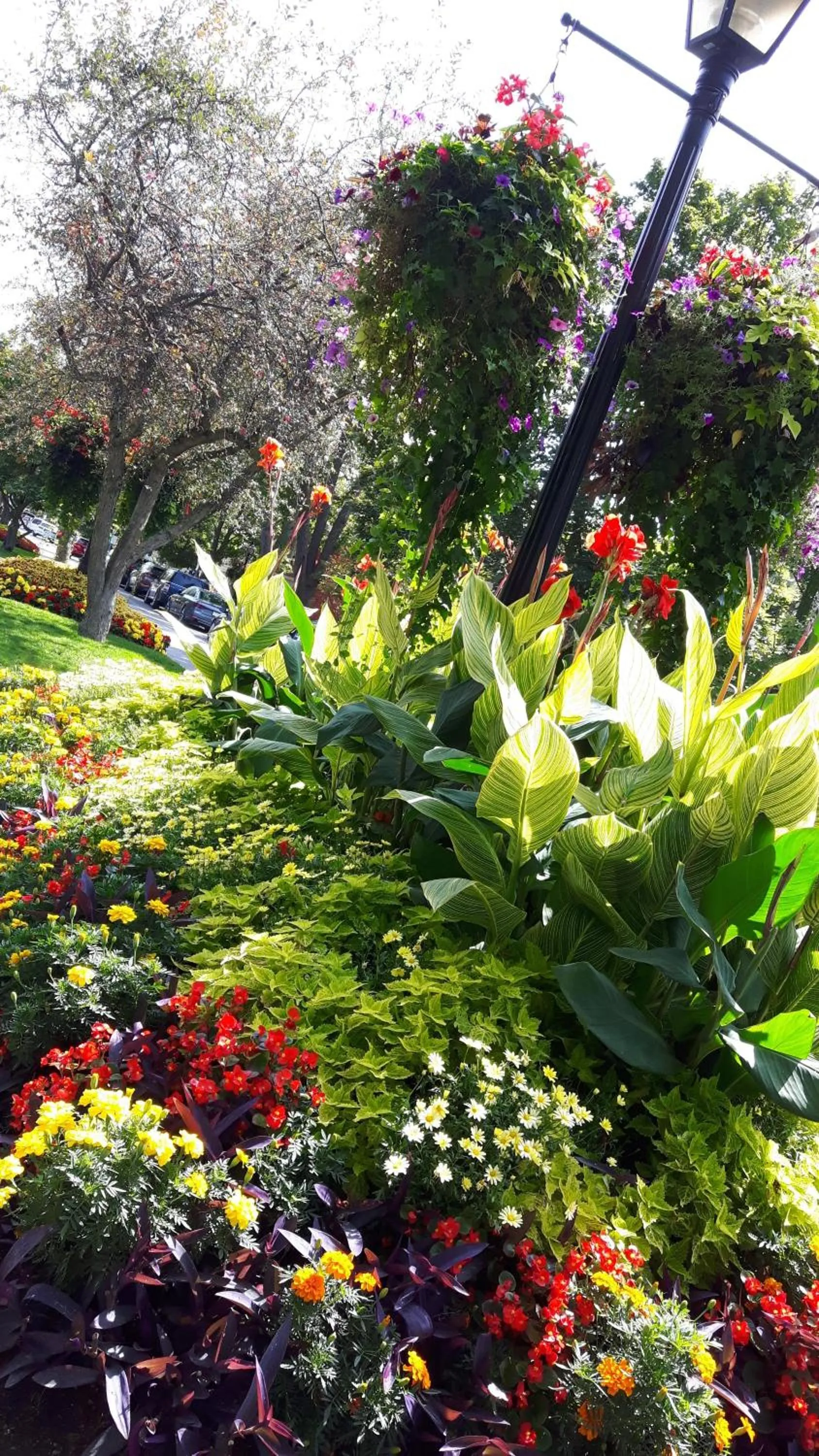 Natural landscape in Historic Wilson-Guy House