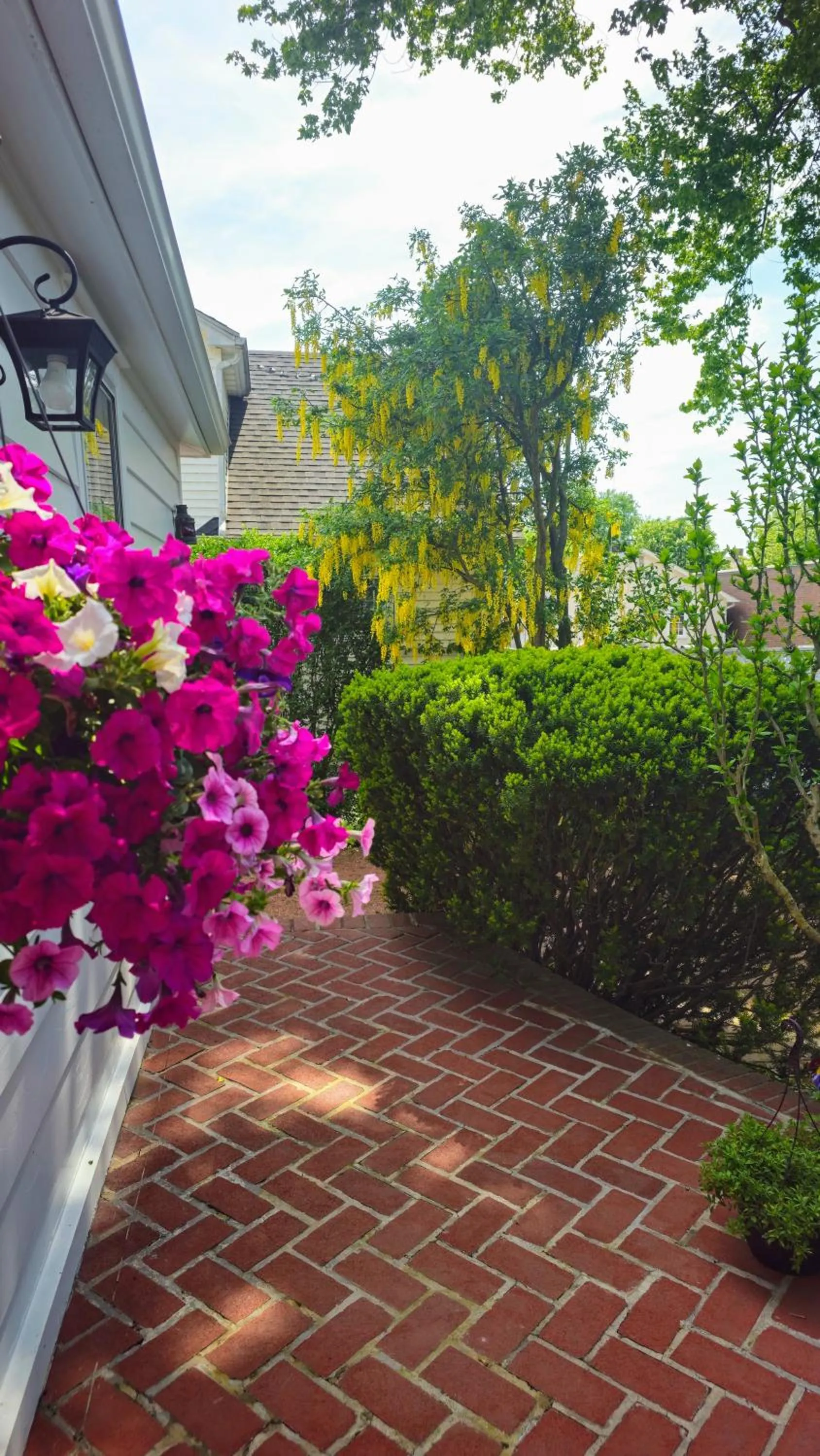 Garden view in Historic Wilson-Guy House