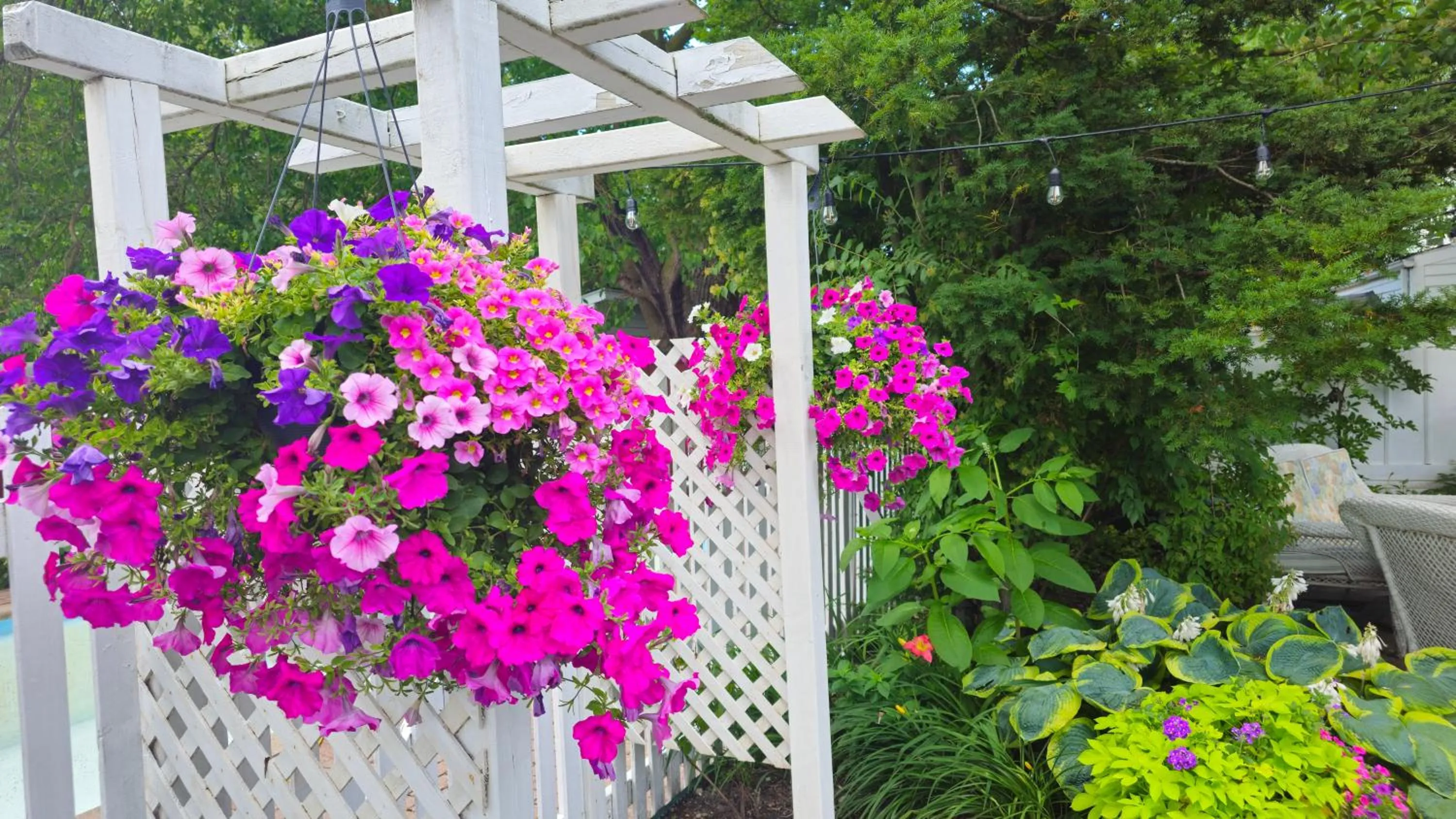 Garden view in Historic Wilson-Guy House