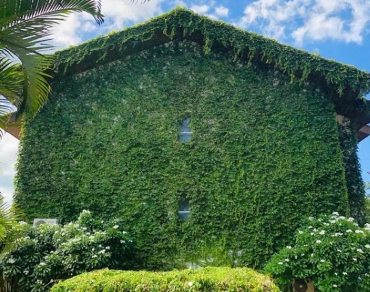 Natural landscape in Belluno Apart Hotel