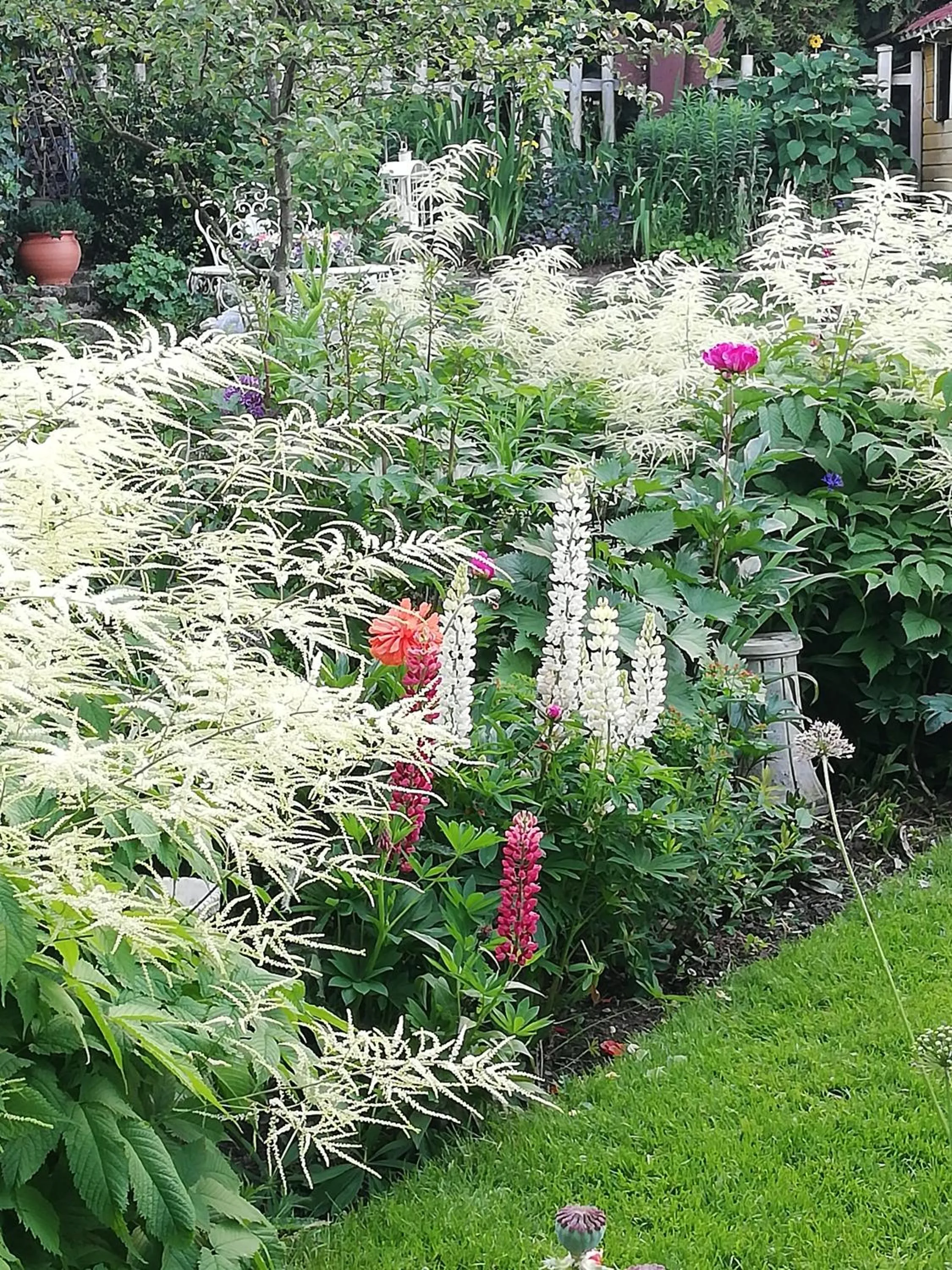 Garden in B&B Rosenliebe