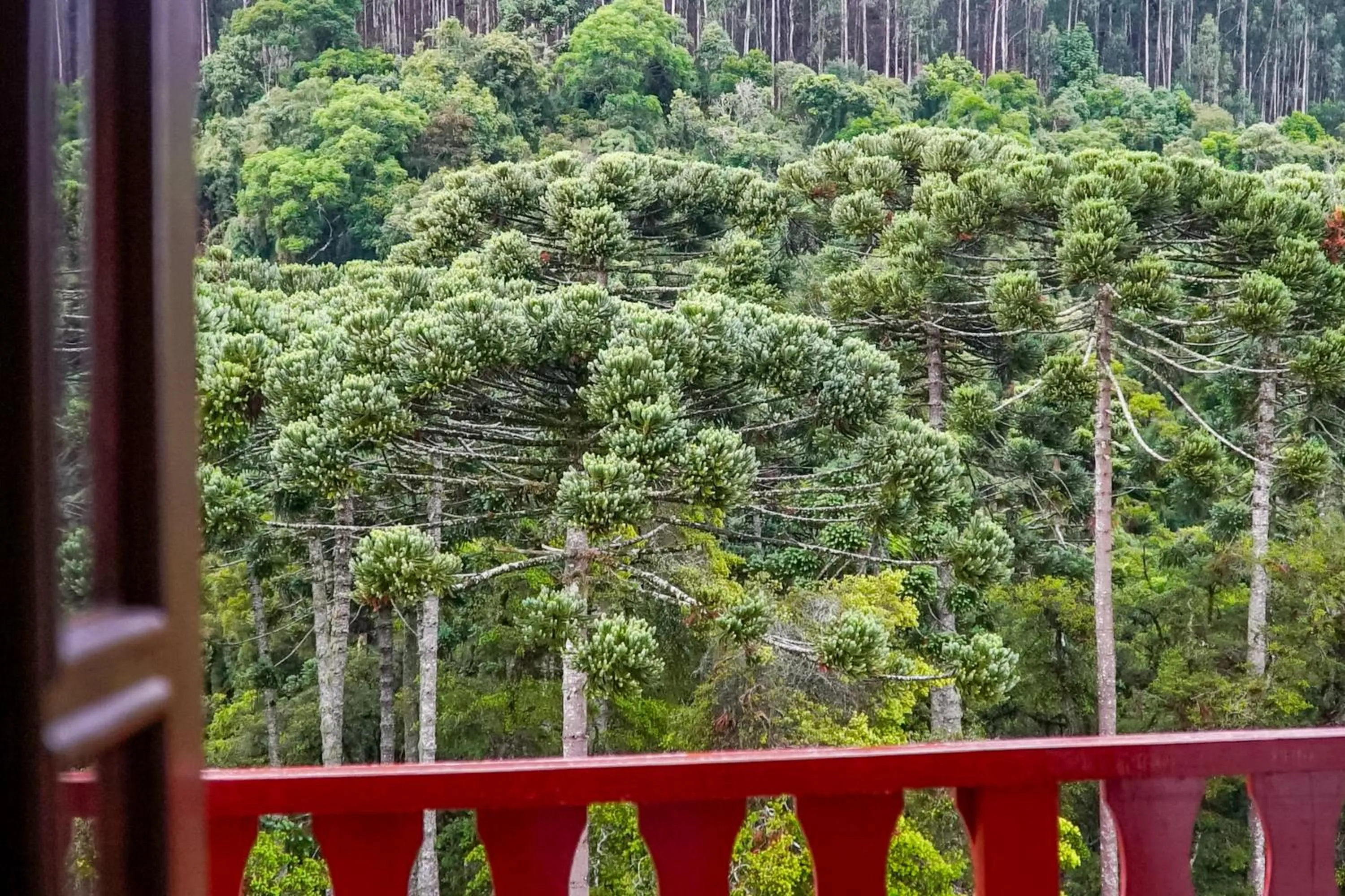 Day in VELINN Áustria Hotel Monte Verde