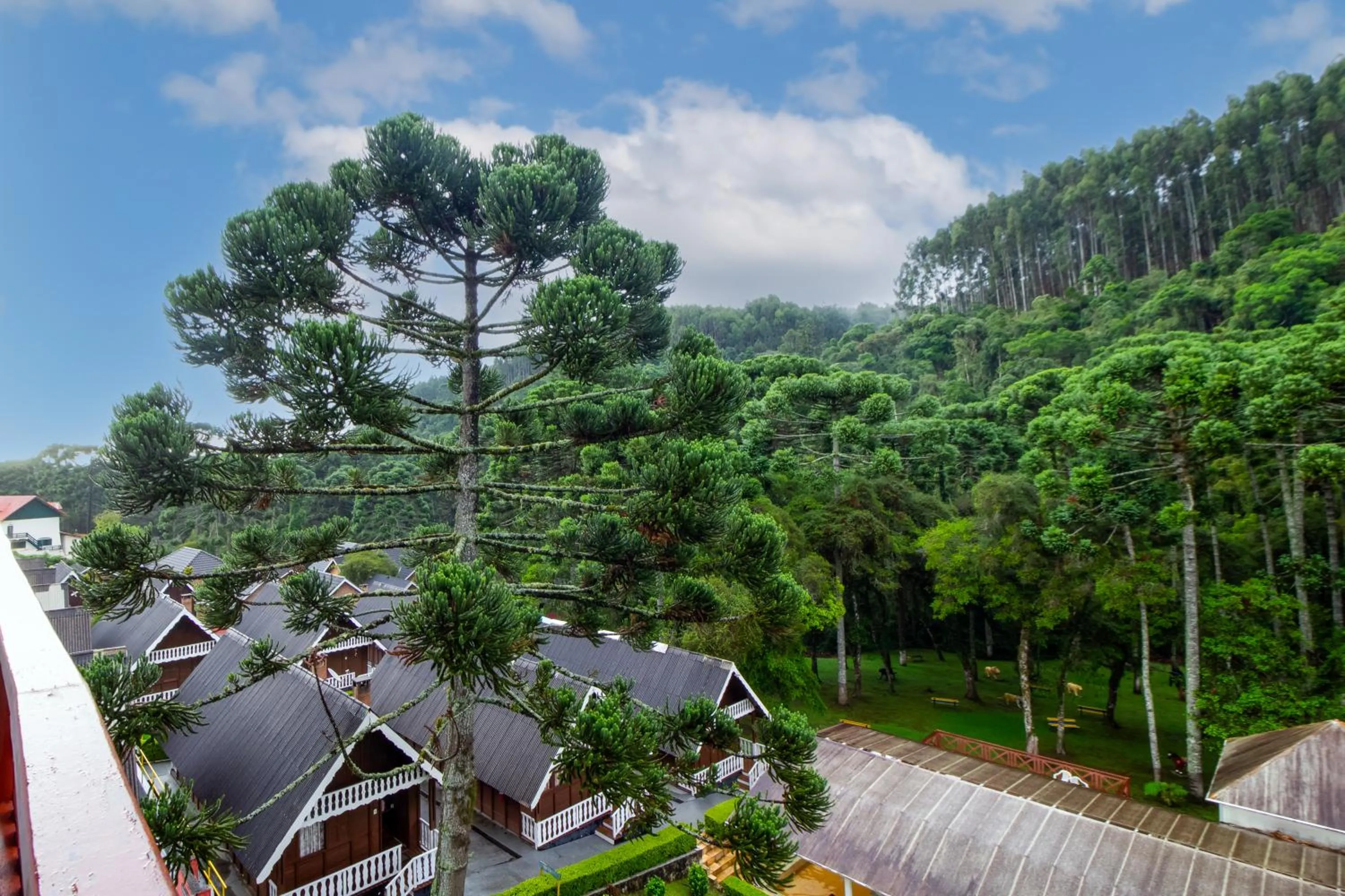 Day in VELINN Áustria Hotel Monte Verde