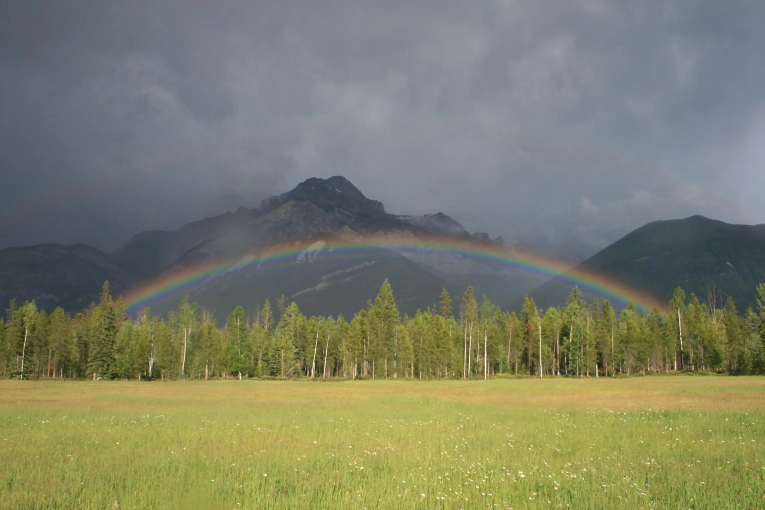 View (from property/room) in Rocky Mountain Cabins and Home