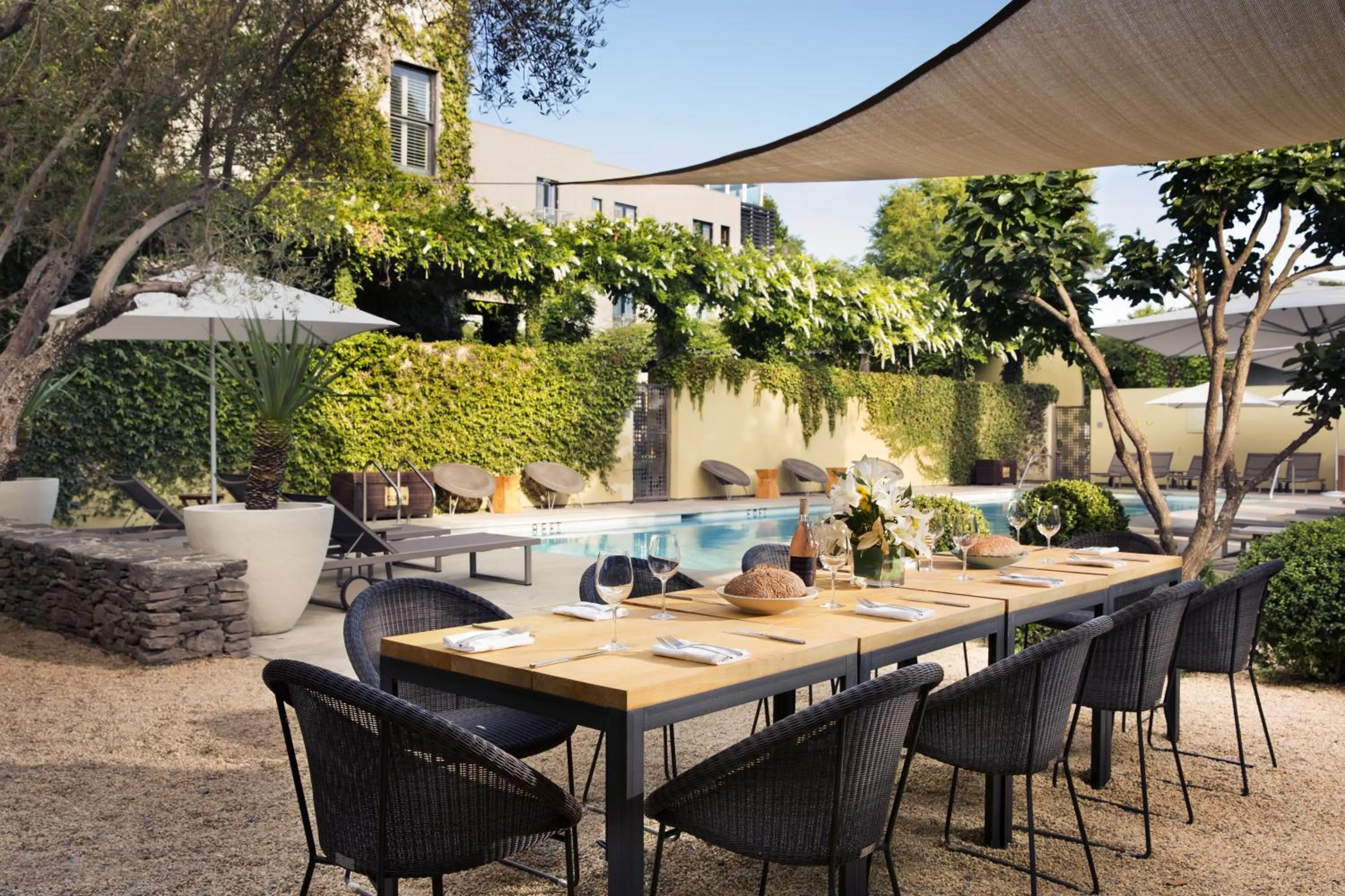 Restaurant/places to eat in Hotel Healdsburg