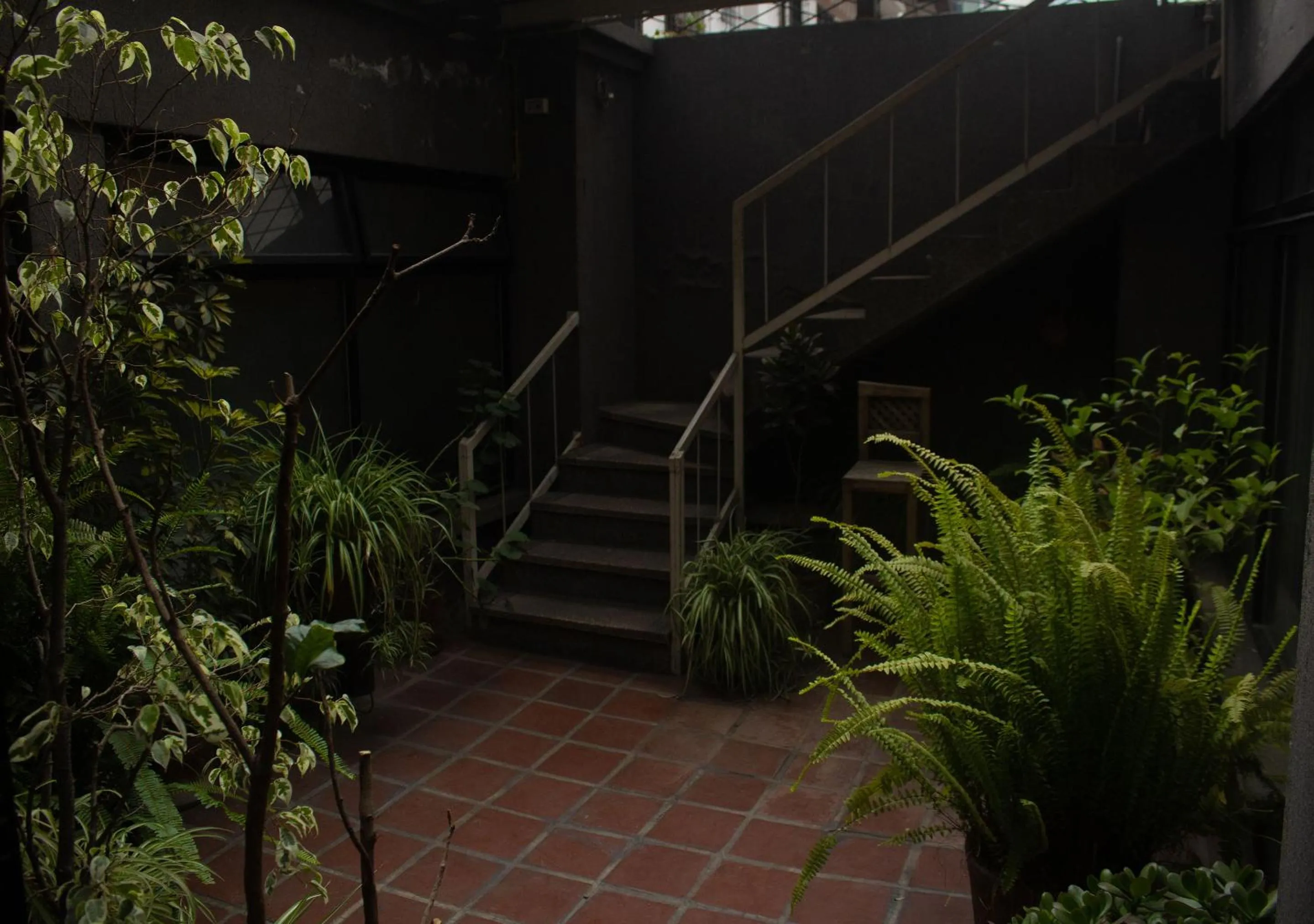 Patio in Filatelia Suites & Travel