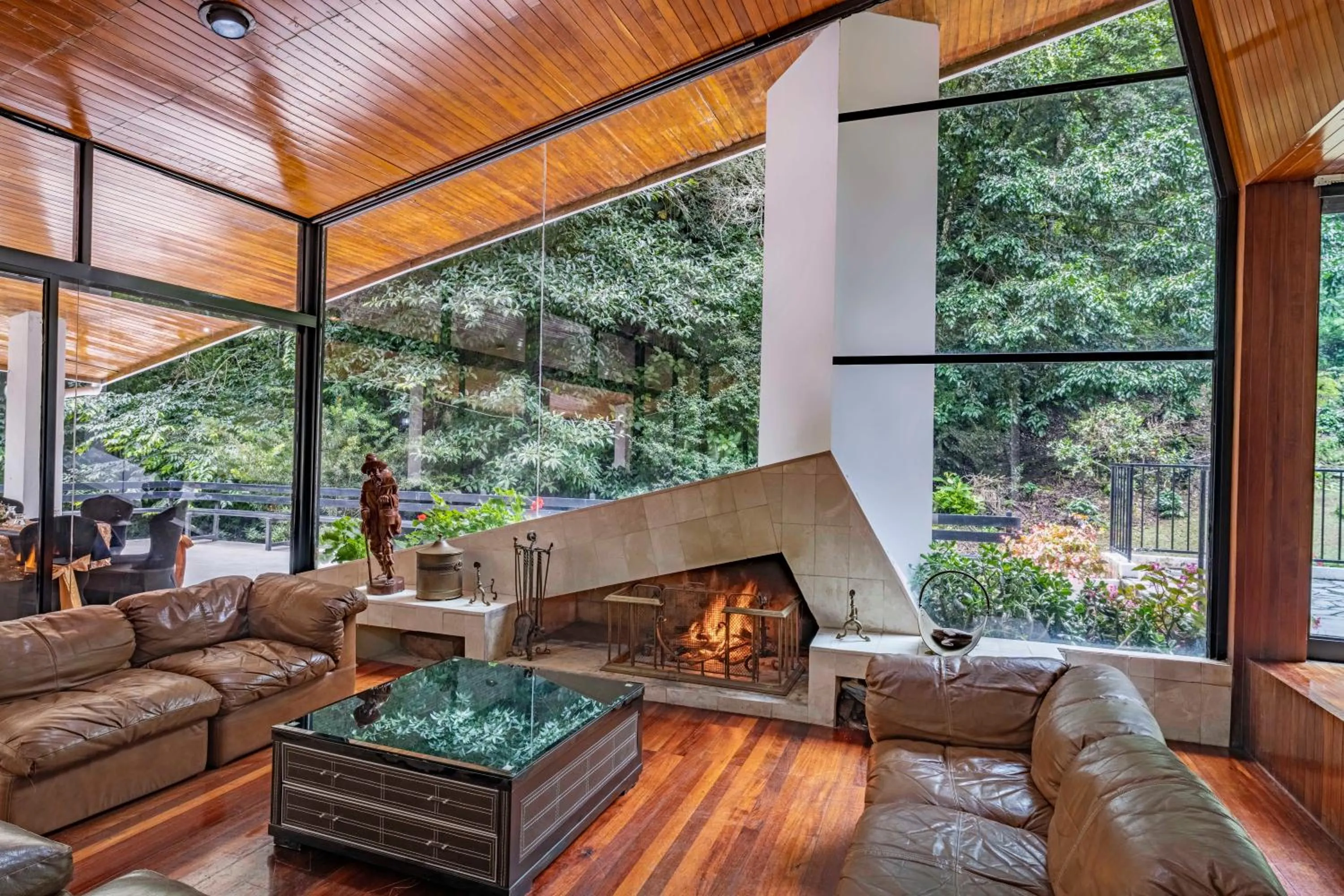 Natural landscape in Hotel Bambito By Faranda Boutique, a member of Radisson Individuals