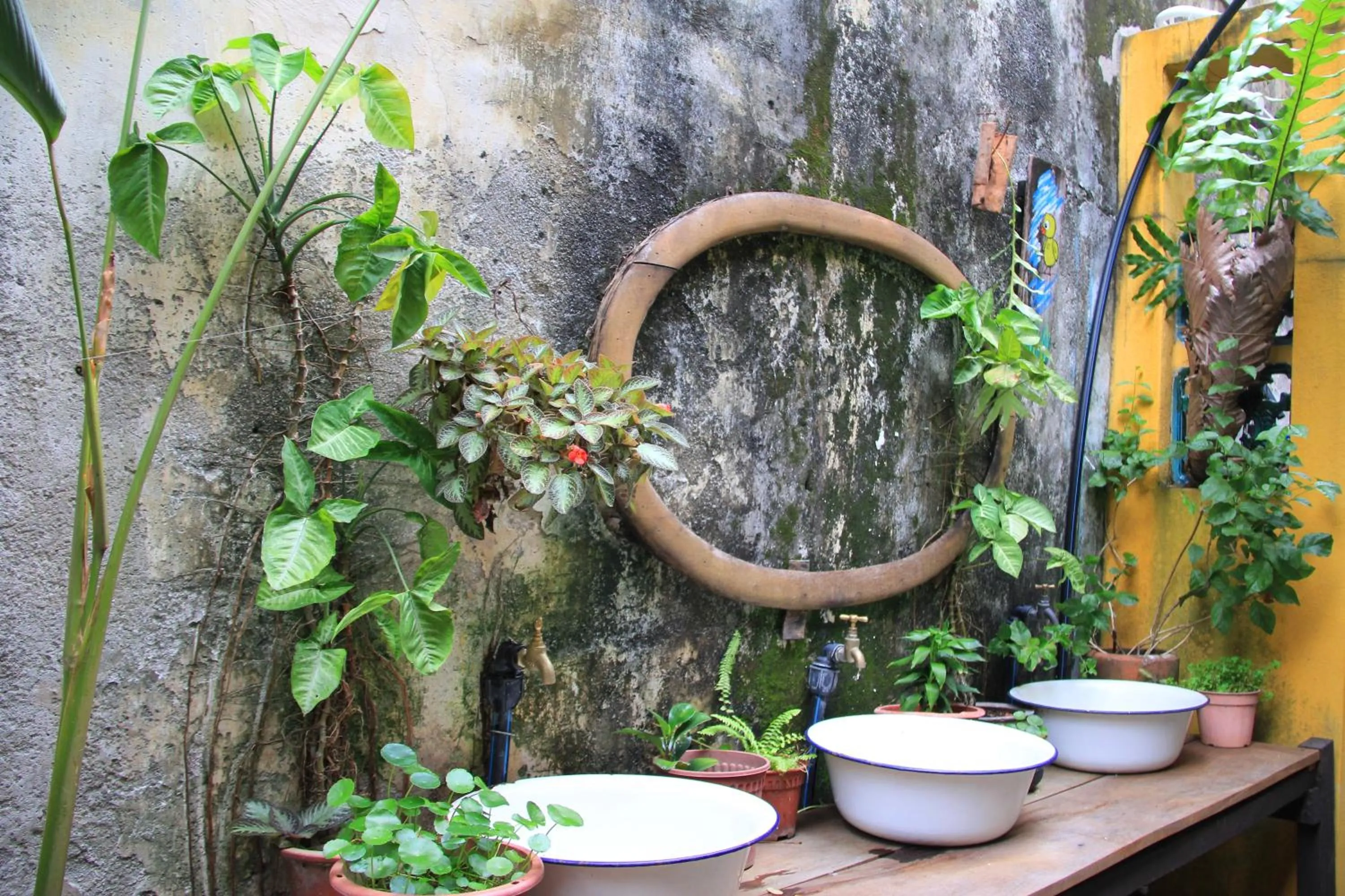 Garden in MoonTree47