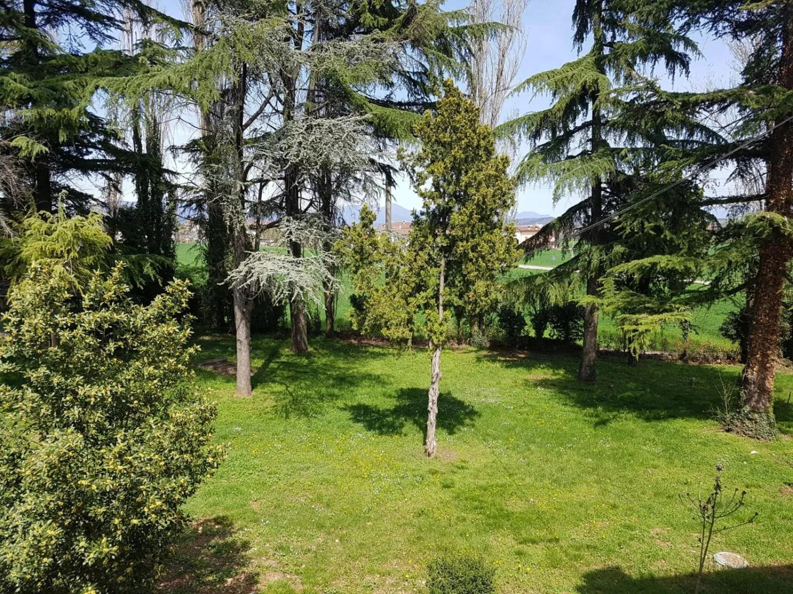 Garden in Residenza Hermitage