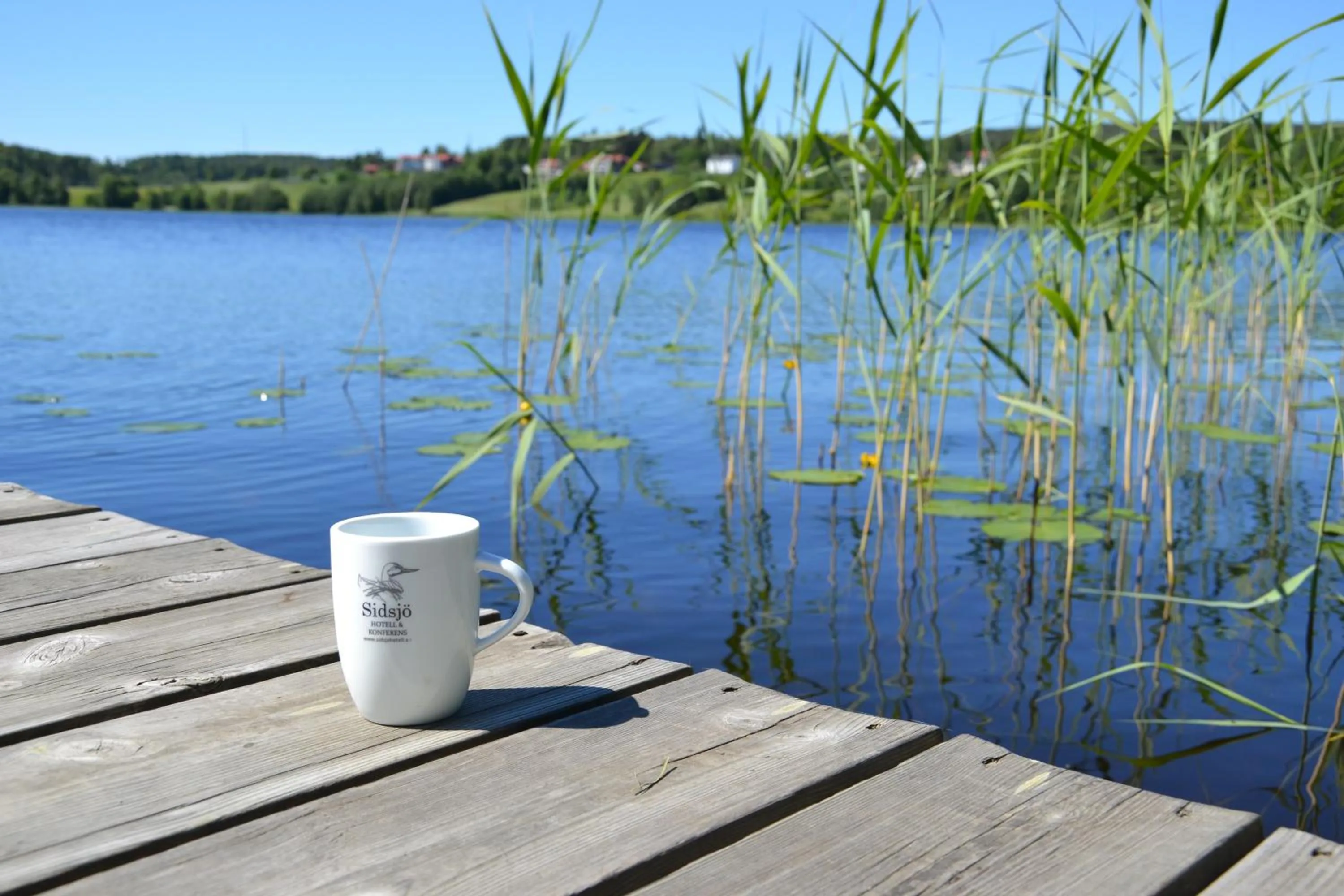 Other in Sidsjö Hotell & Konferens