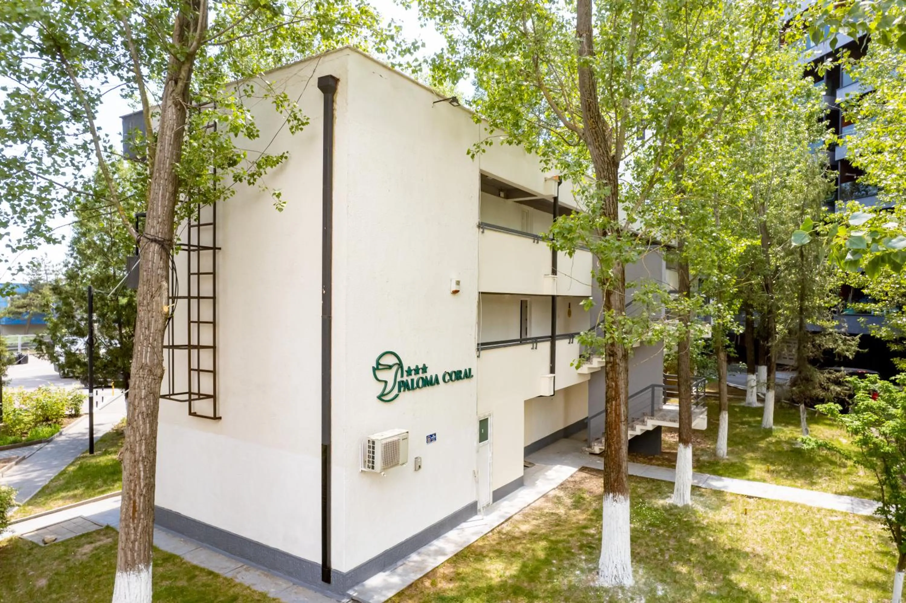 Complex Paloma Coral