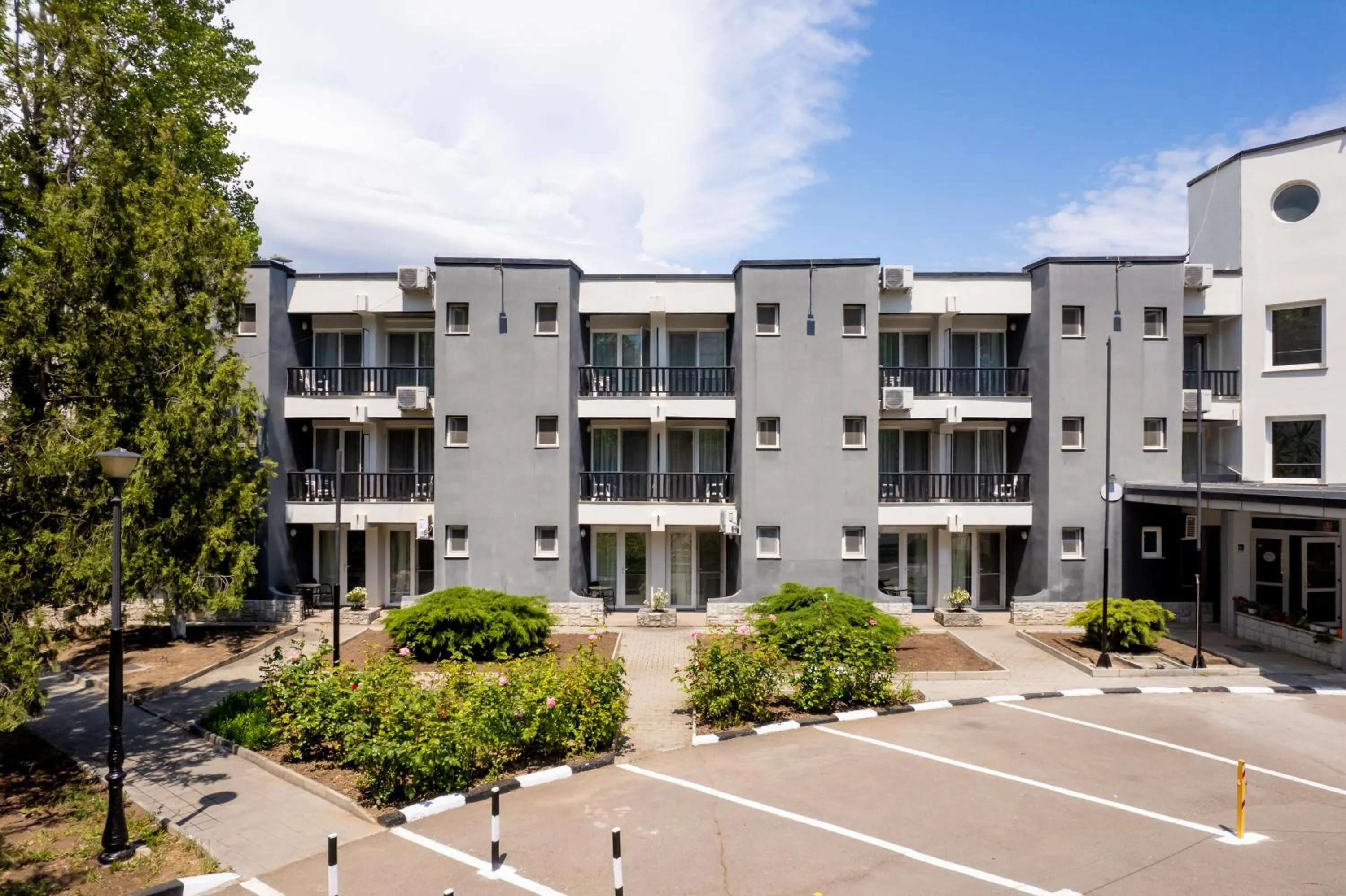 Complex Paloma Coral