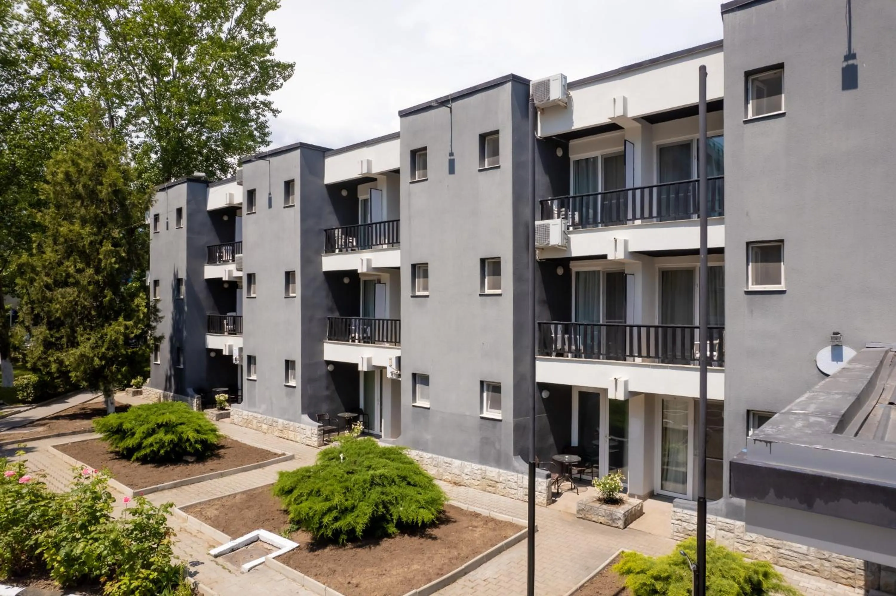 Complex Paloma Coral