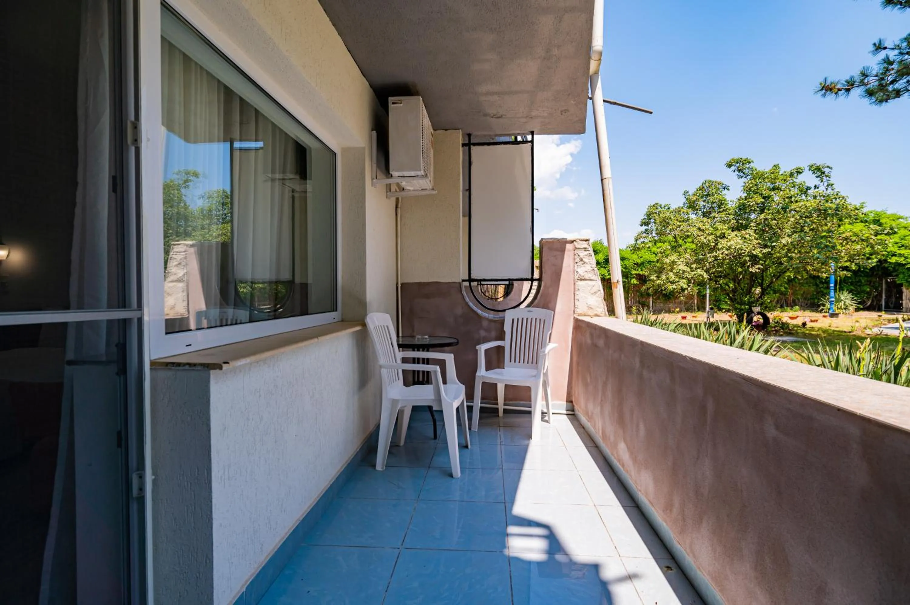 Complex Paloma Coral